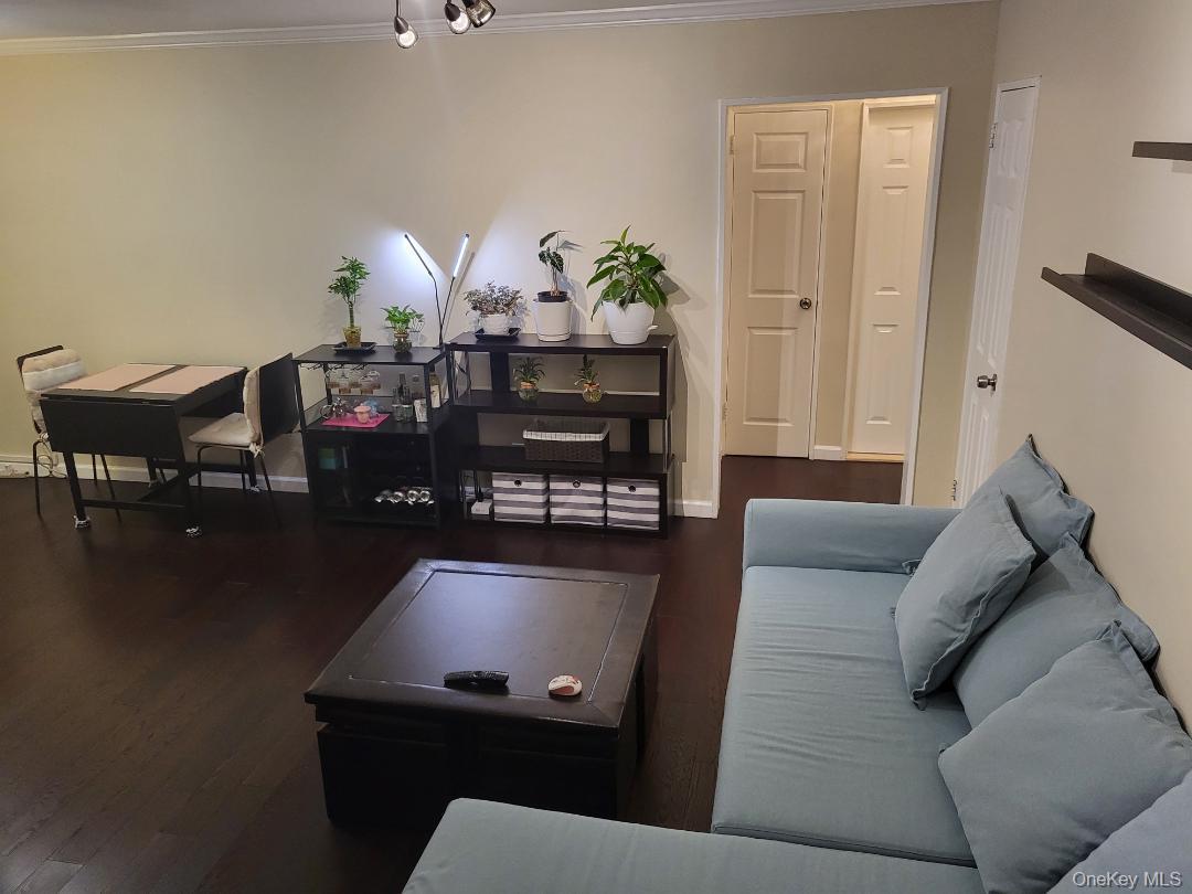 Coop 166th  Queens, NY 11357, MLS-950081-5