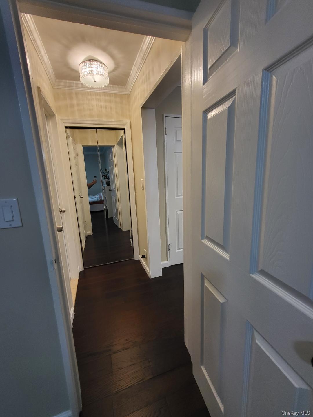 Coop 166th  Queens, NY 11357, MLS-950081-9