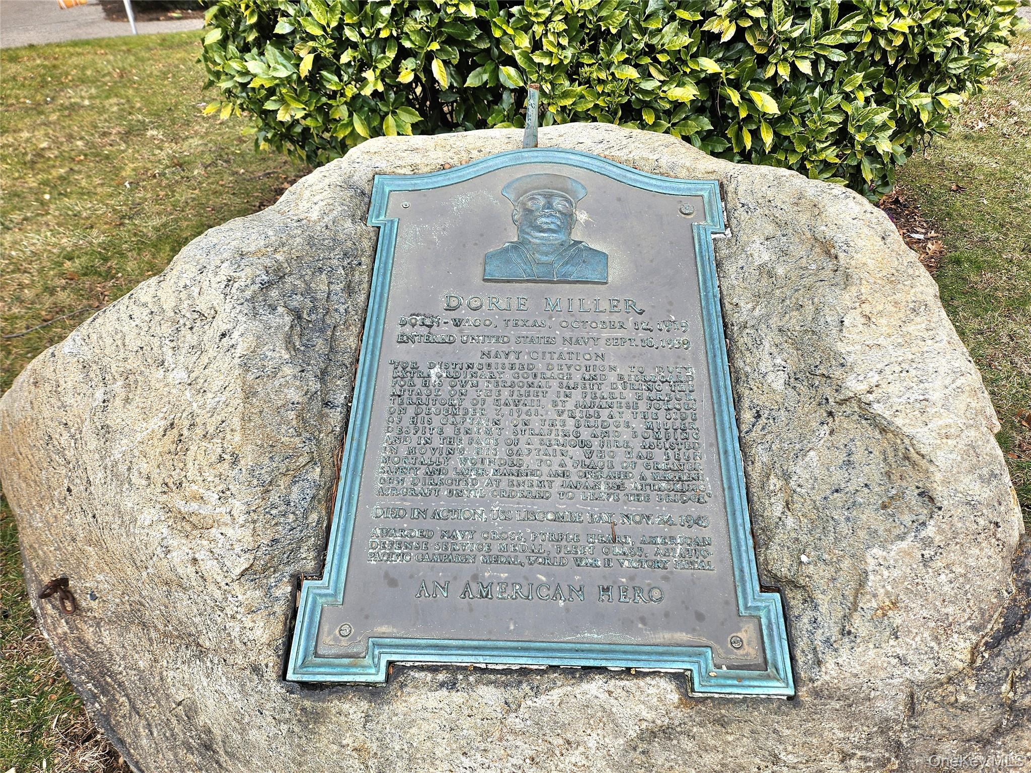 Coop 34  Queens, NY 11368, MLS-950118-3