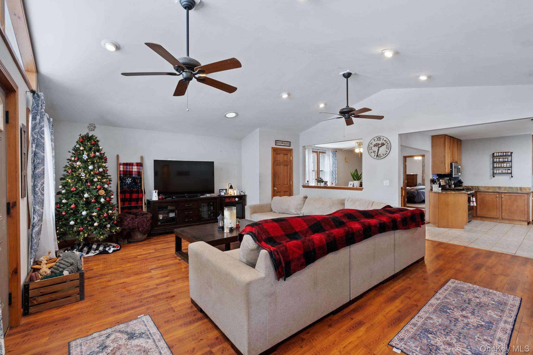 Single Family John  Orange County, NY 12543, MLS-950169-10