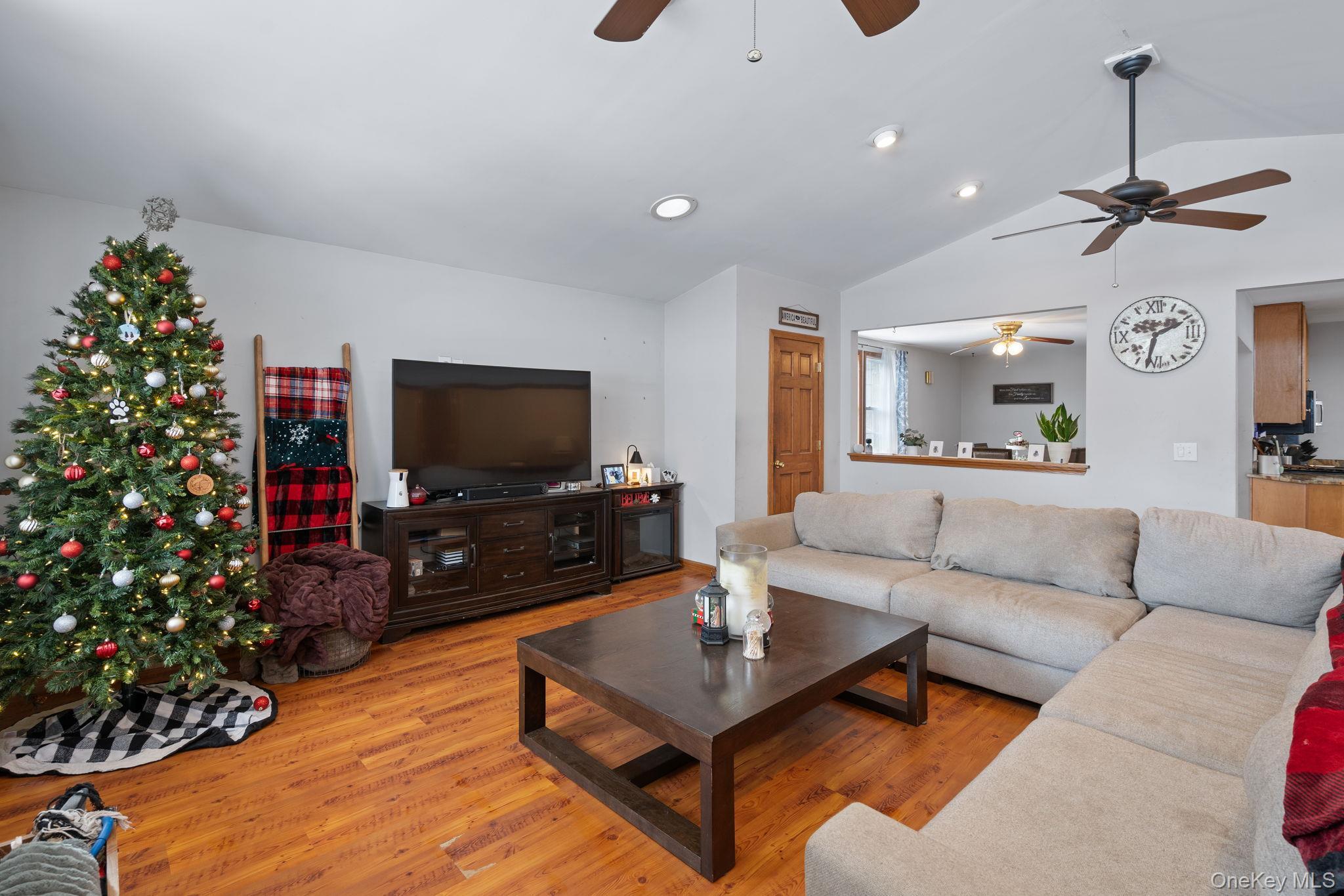 Single Family John  Orange County, NY 12543, MLS-950169-13