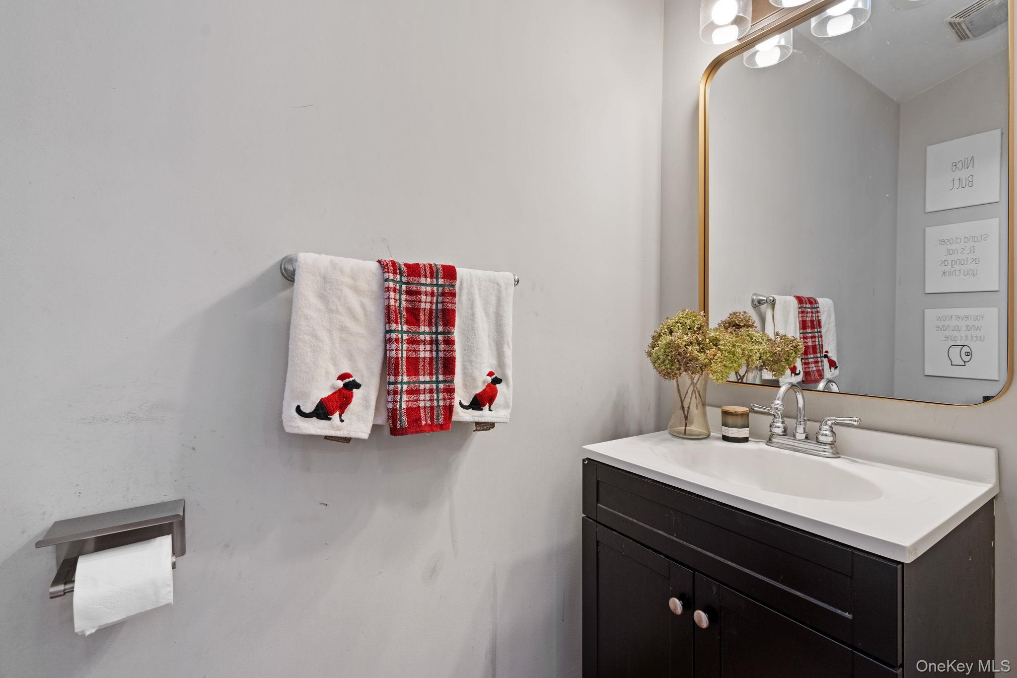 Single Family John  Orange County, NY 12543, MLS-950169-17