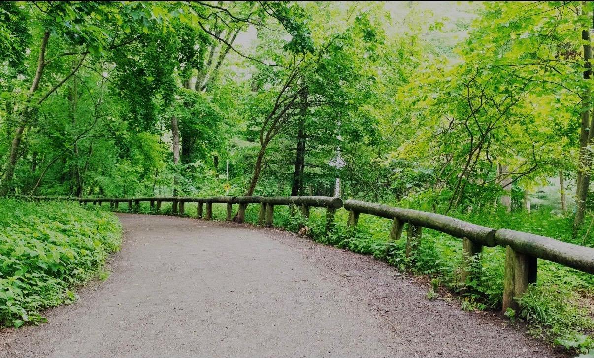 Single Family 79th Queens, NY 11421, MLS-950182-18