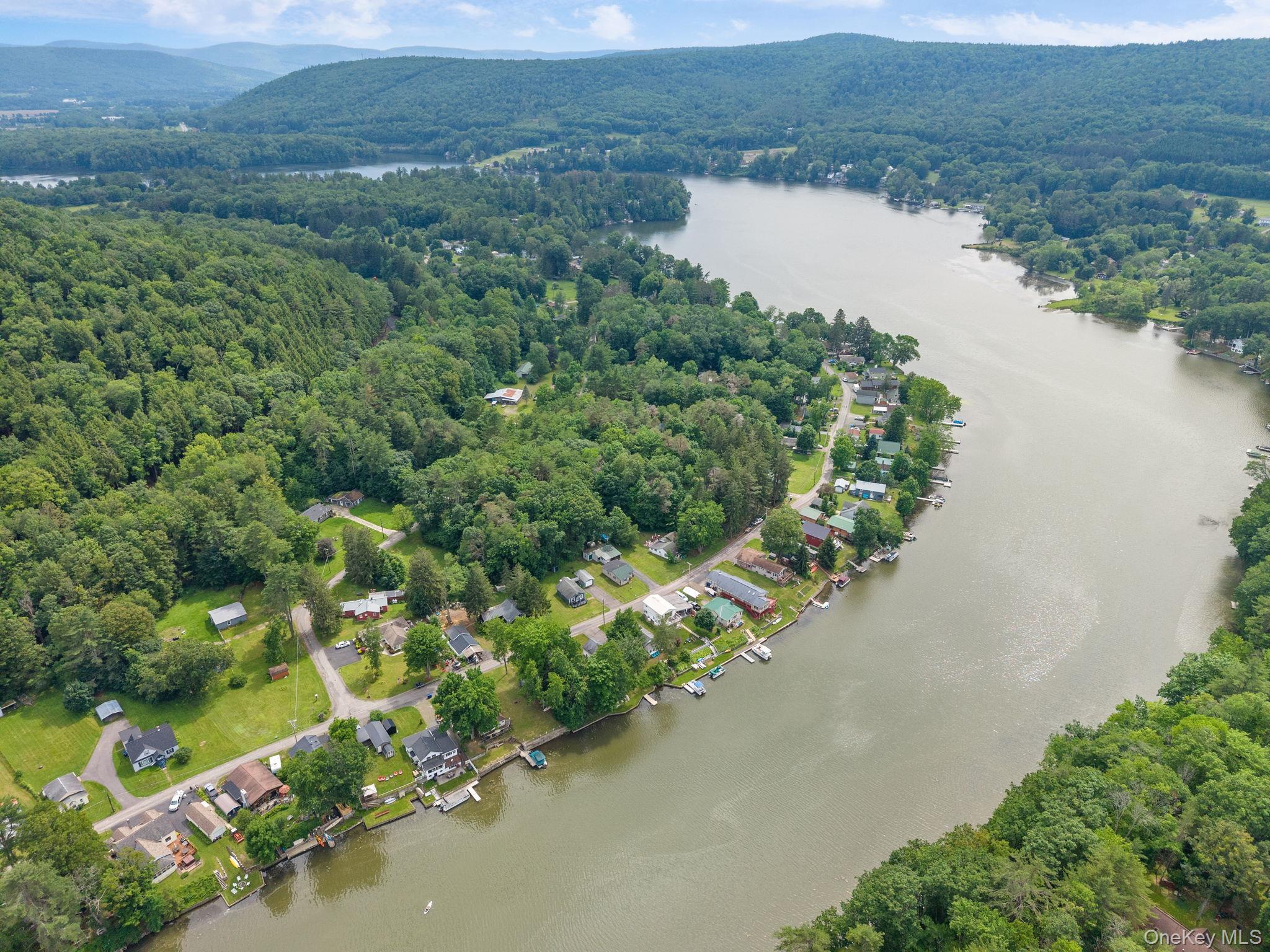 Single Family Lake Shore  Out Of Area, NY 13807, MLS-950254-31