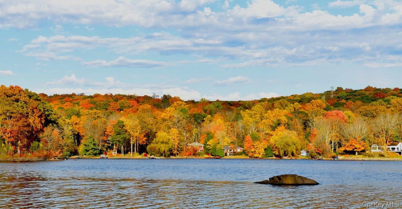 Single Family Arbutus  Putnam County, NY 10579, MLS-950314-37