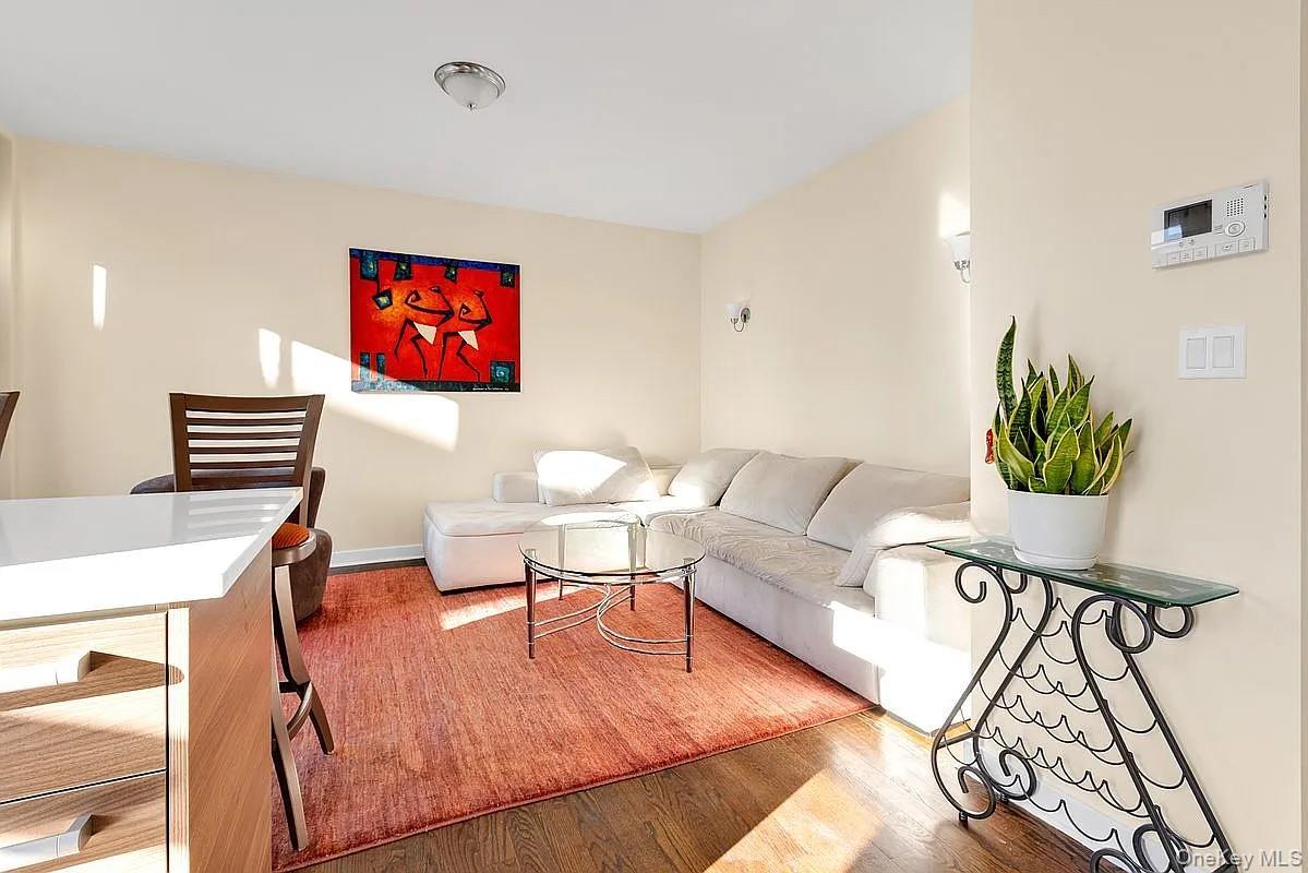 Condo Ocean  Brooklyn, NY 11235, MLS-950342-10