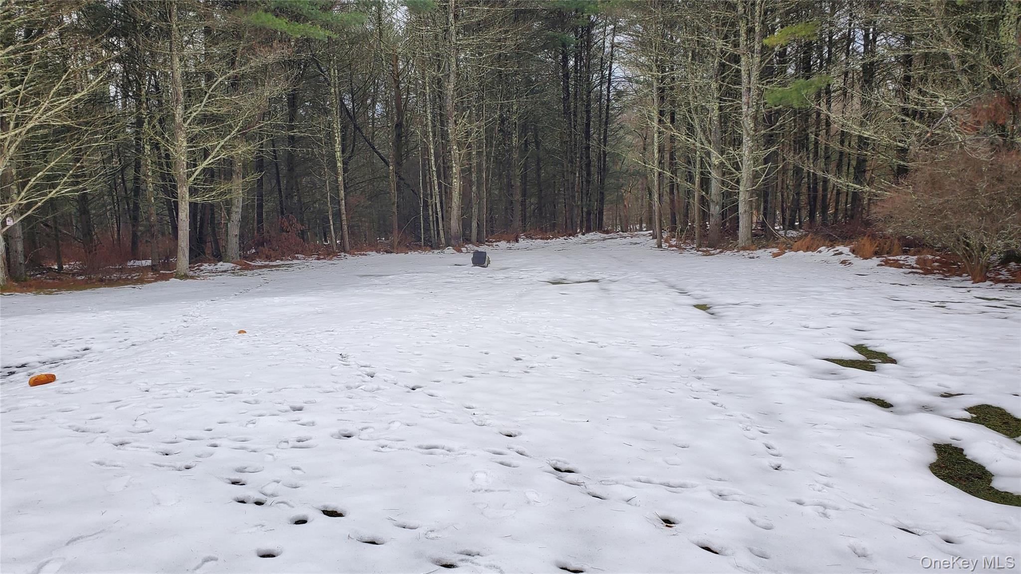 Single Family Beaver Brook  Sullivan County, NY 12764, MLS-950345-25