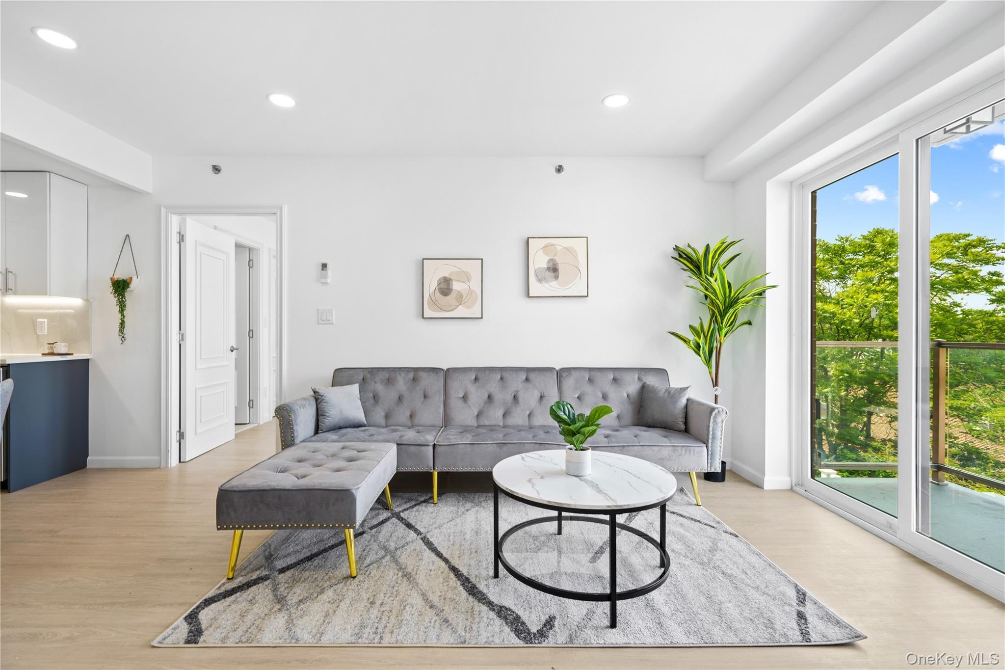 Condo Blossom  Queens, NY 11355, MLS-950365-2