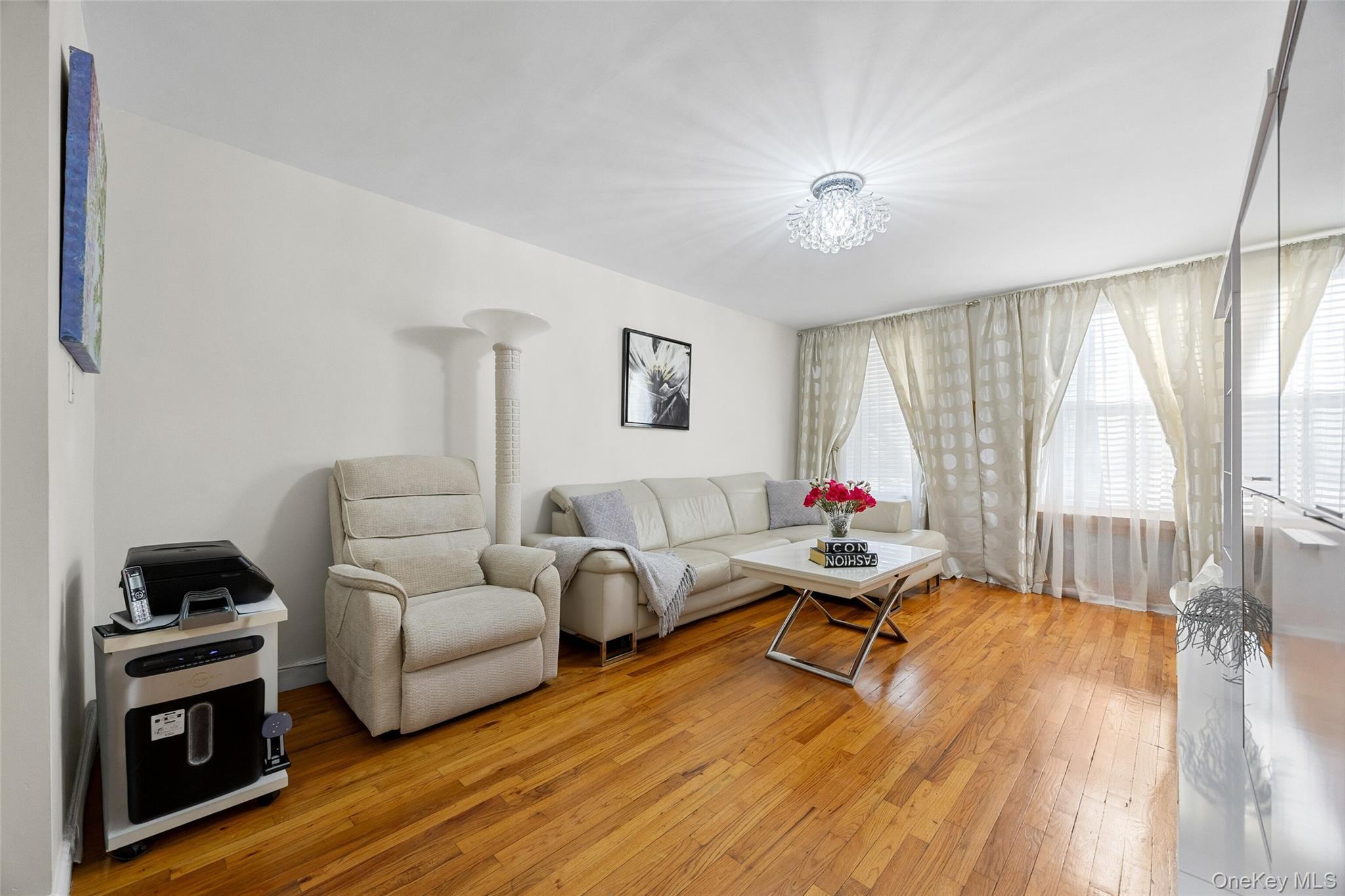 Coop Bragg  Brooklyn, NY 11229, MLS-950383-3