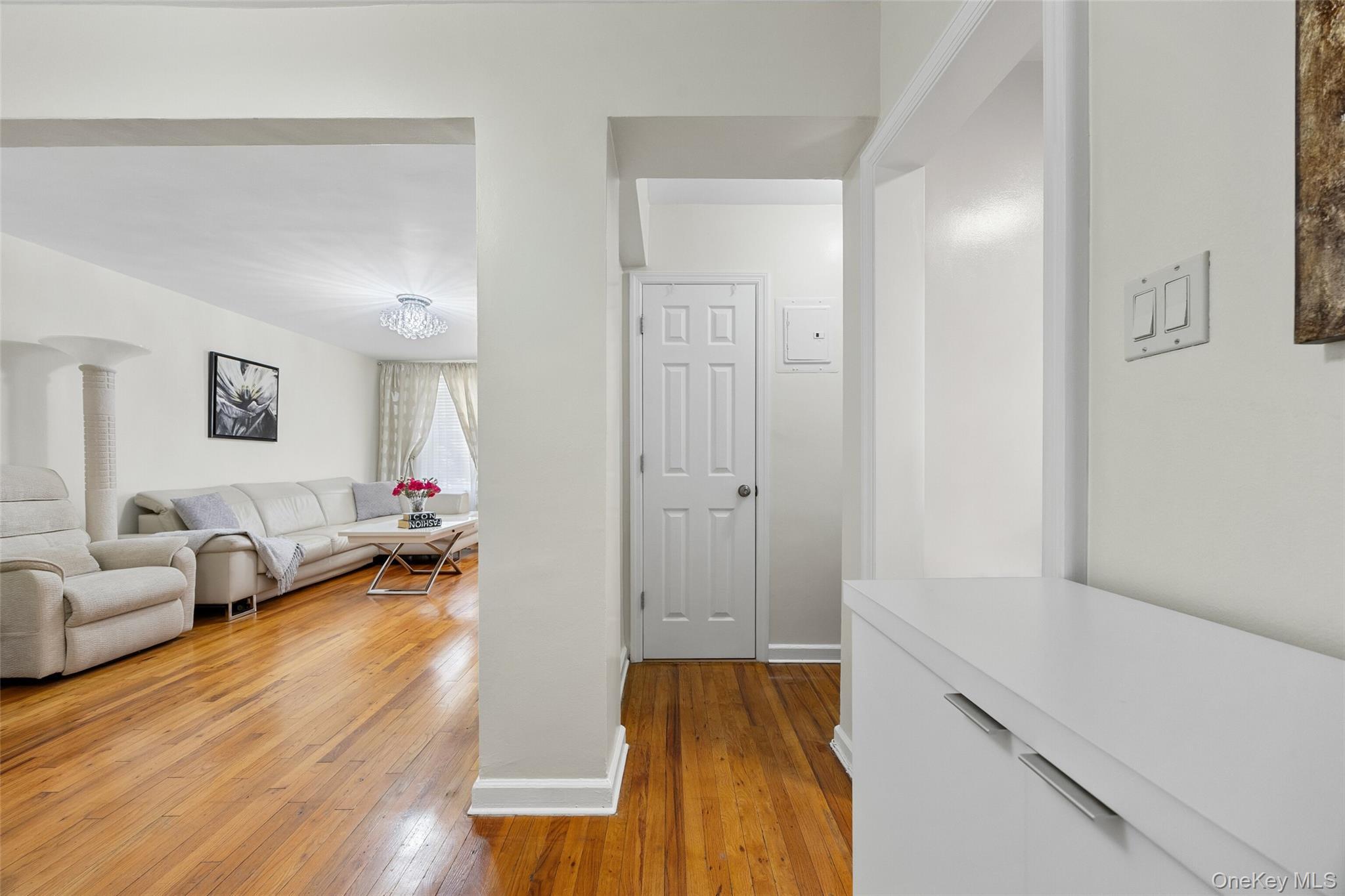 Coop Bragg  Brooklyn, NY 11229, MLS-950383-7