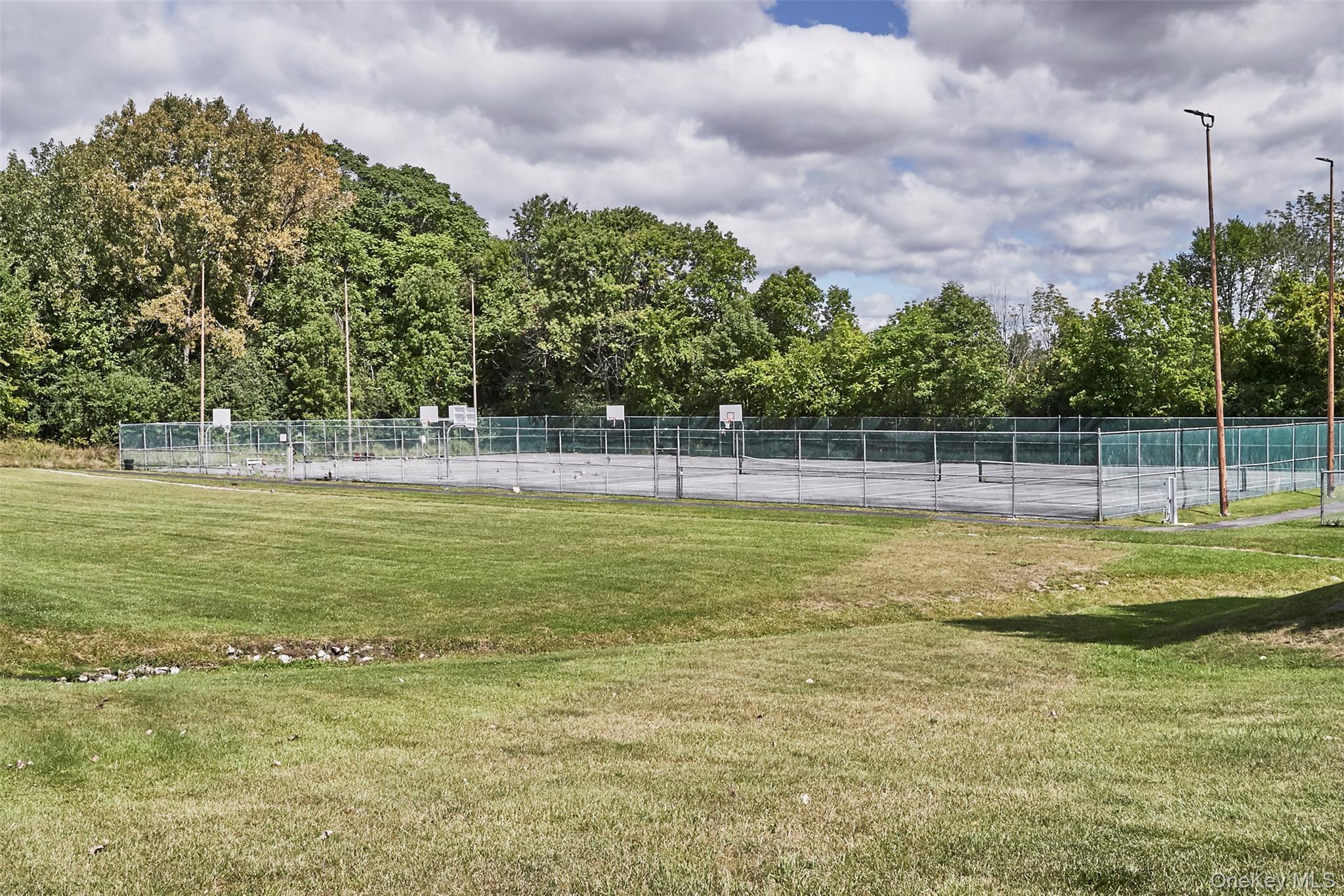 Condo Whispering  Orange County, NY 10918, MLS-950534-24