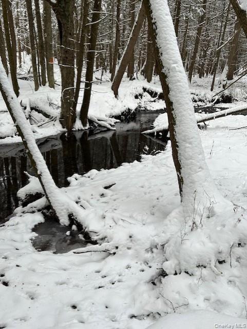 Single Family Parks  Sullivan County, NY 12758, MLS-950666-15