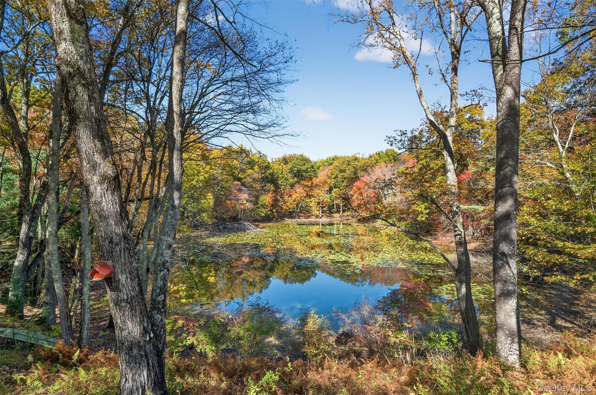 Single Family Whitlock Orange County, NY 10963, MLS-950794-46