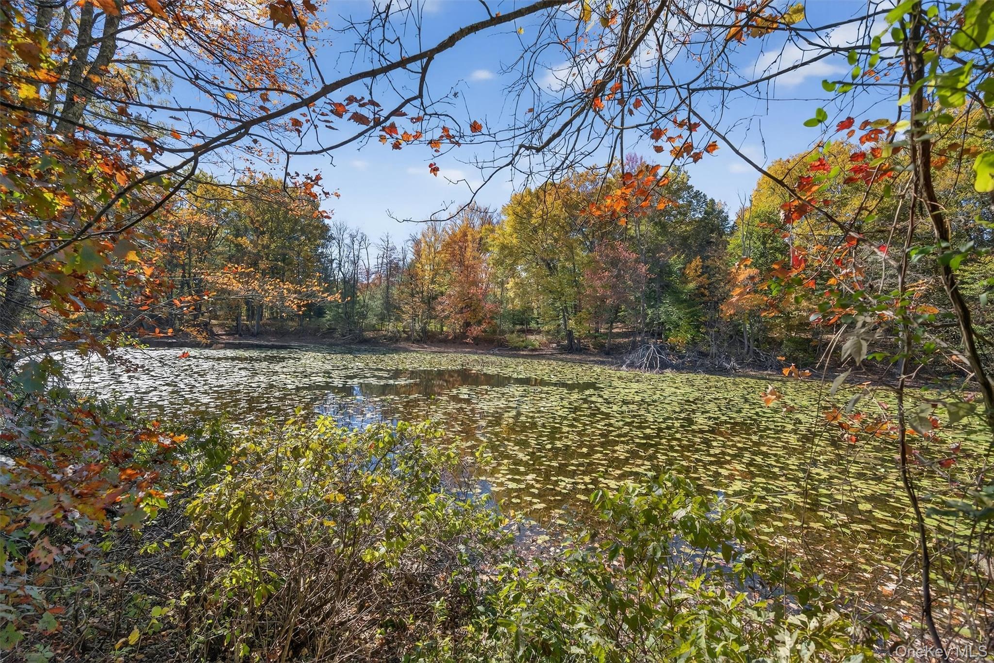 Single Family Whitlock Orange County, NY 10963, MLS-950794-47