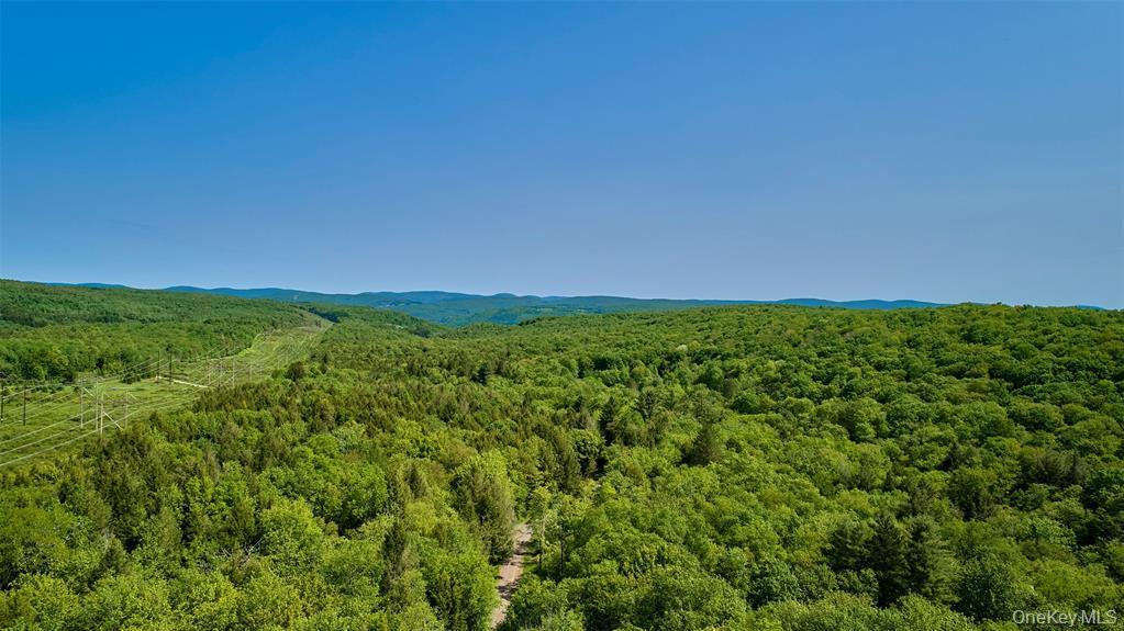 Single Family Wards  Sullivan County, NY 12758, MLS-950837-24