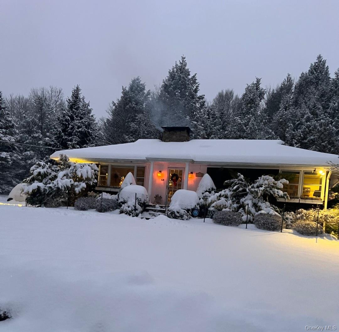 Single Family Wards  Sullivan County, NY 12758, MLS-950837-3