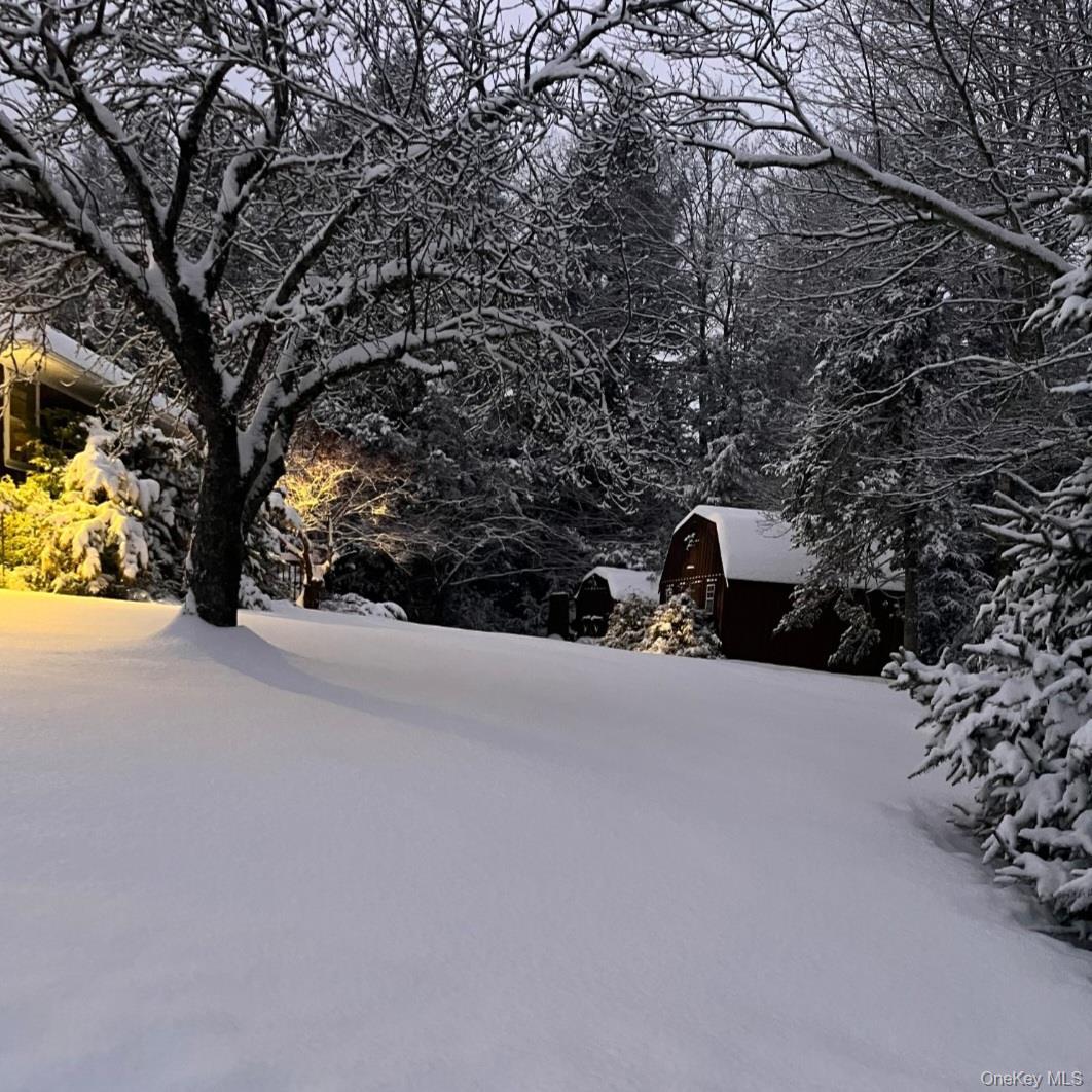 Single Family Wards  Sullivan County, NY 12758, MLS-950837-4