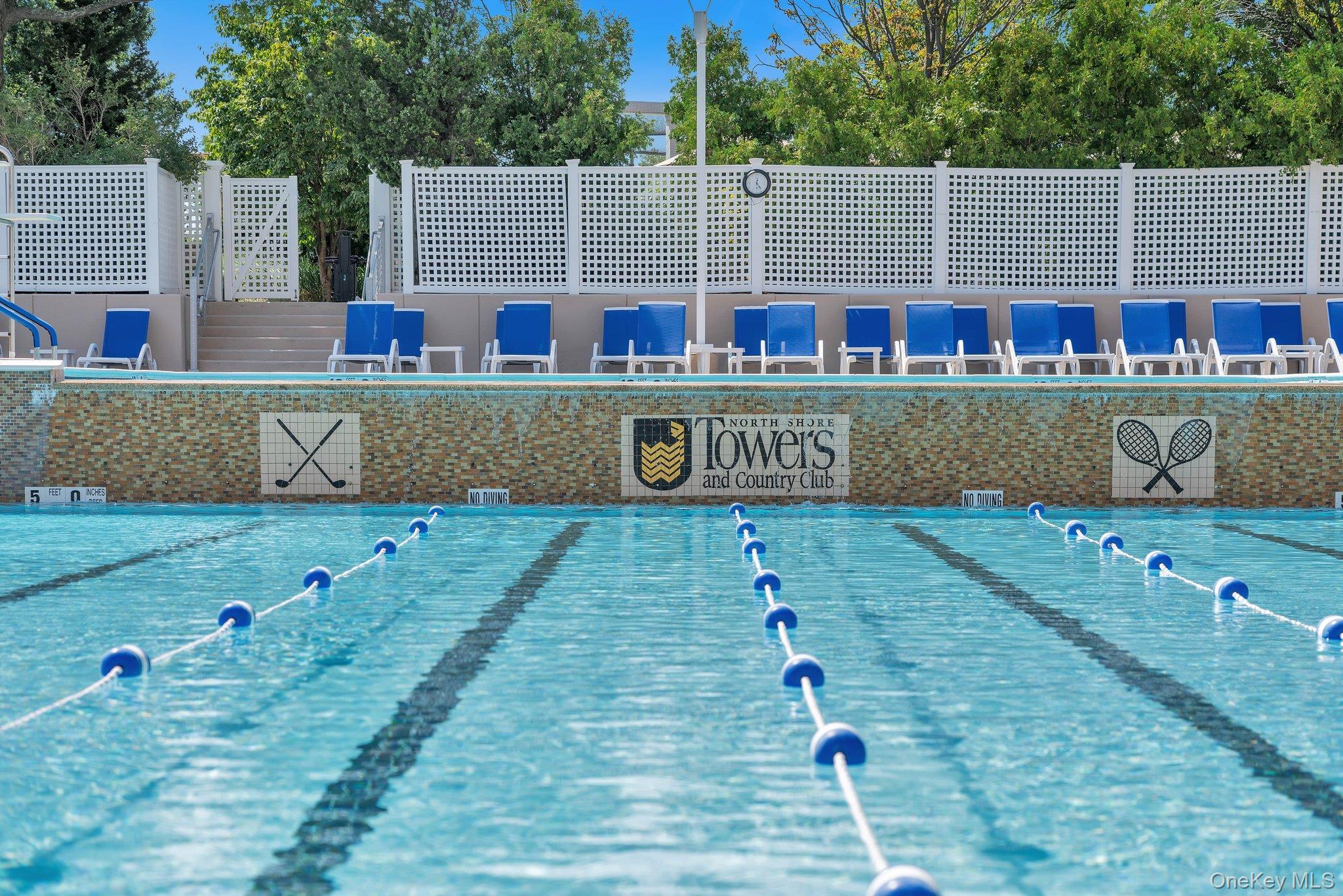 Coop Grand Central  Queens, NY 11005, MLS-950889-29