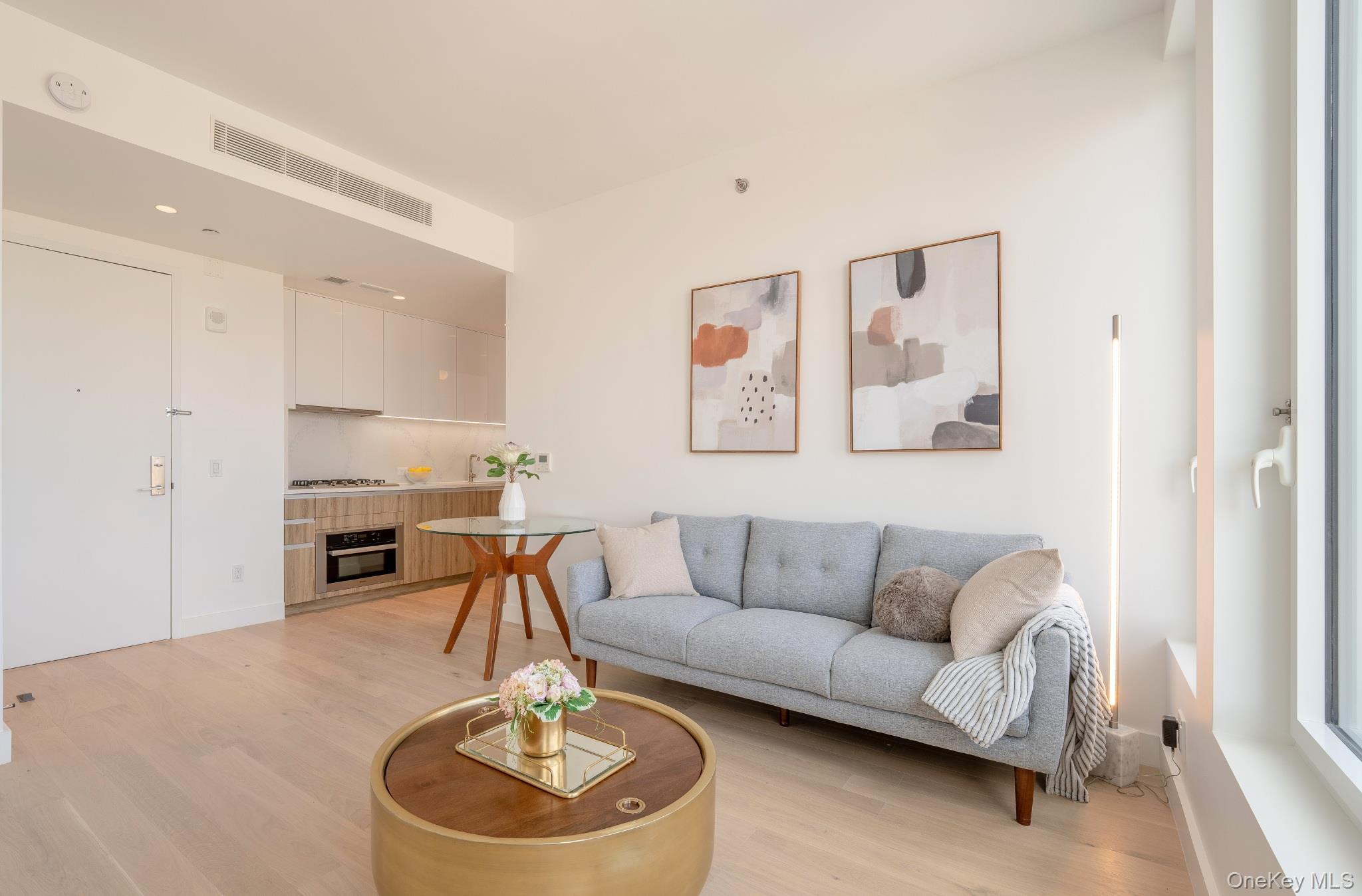 Condo Maple  Queens, NY 11355, MLS-950916-2