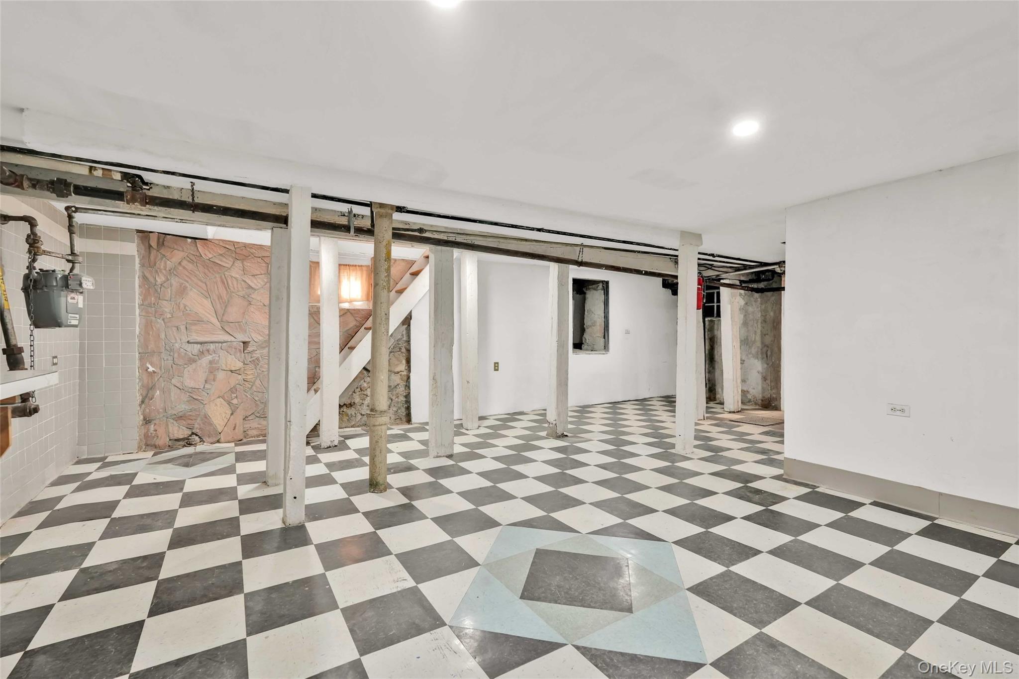 Single Family Crystal  Brooklyn, NY 11208, MLS-950943-4