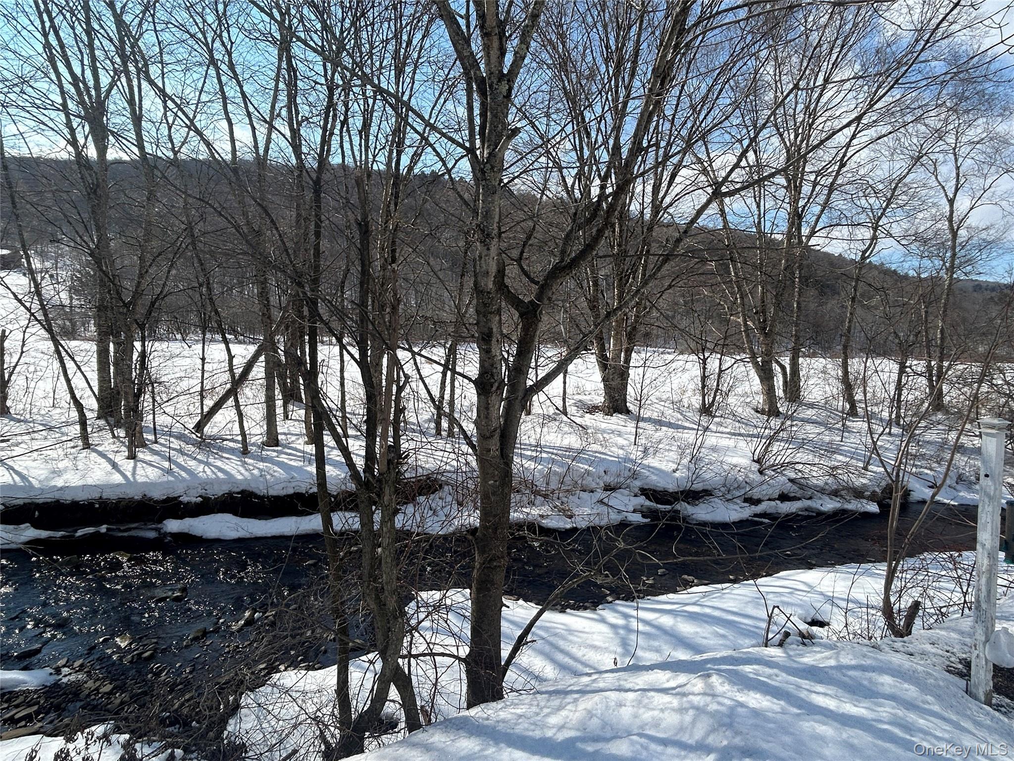 Single Family Gulf  Sullivan County, NY 12776, MLS-950988-5