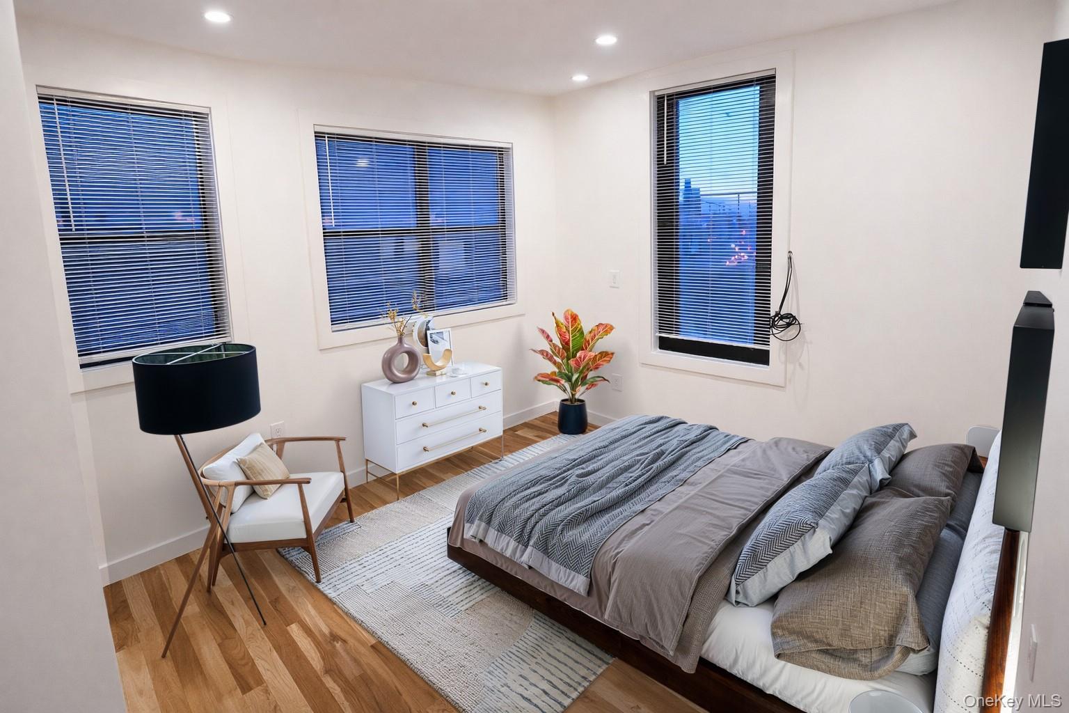 Single Family Radde  Brooklyn, NY 11233, MLS-951015-5