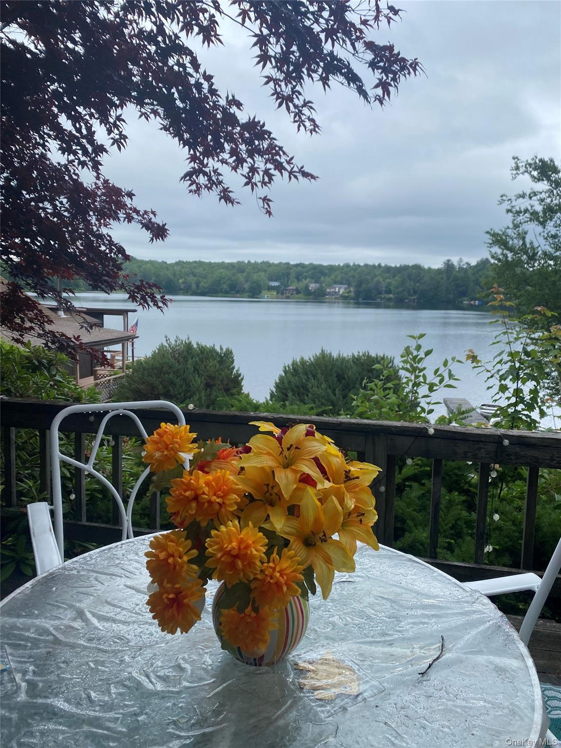 Coop State Route 52  Sullivan County, NY 12759, MLS-951030-6