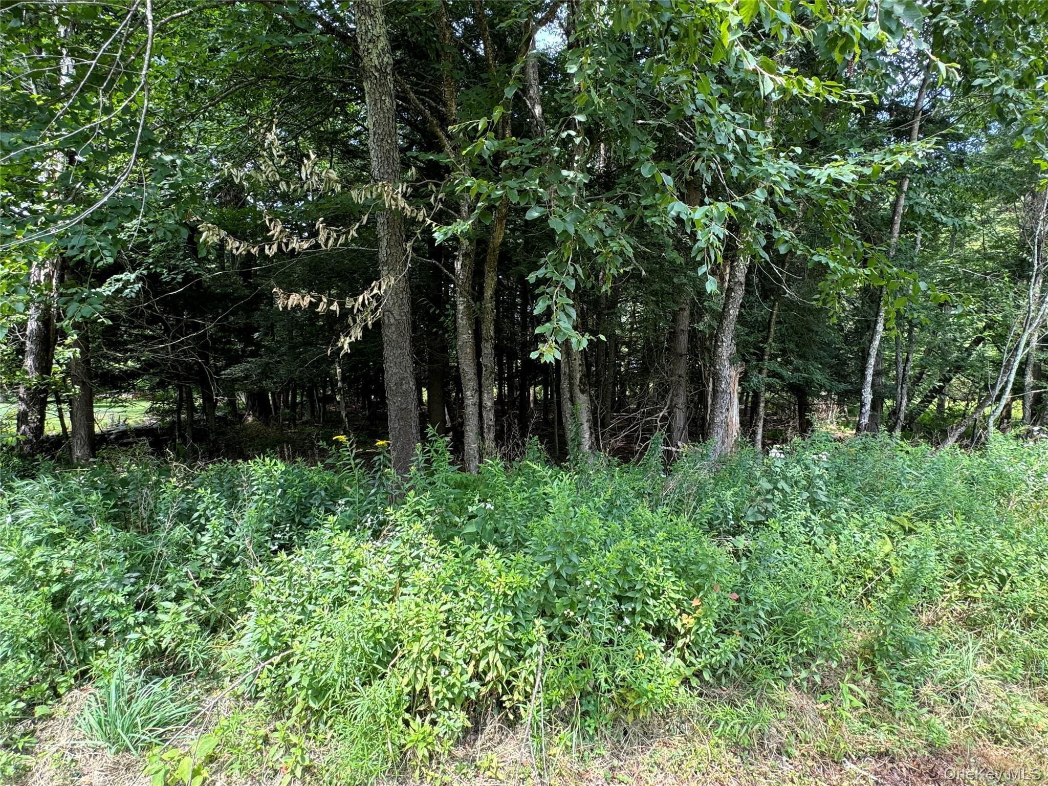 Single Family Mongaup  Sullivan County, NY 12747, MLS-951051-9