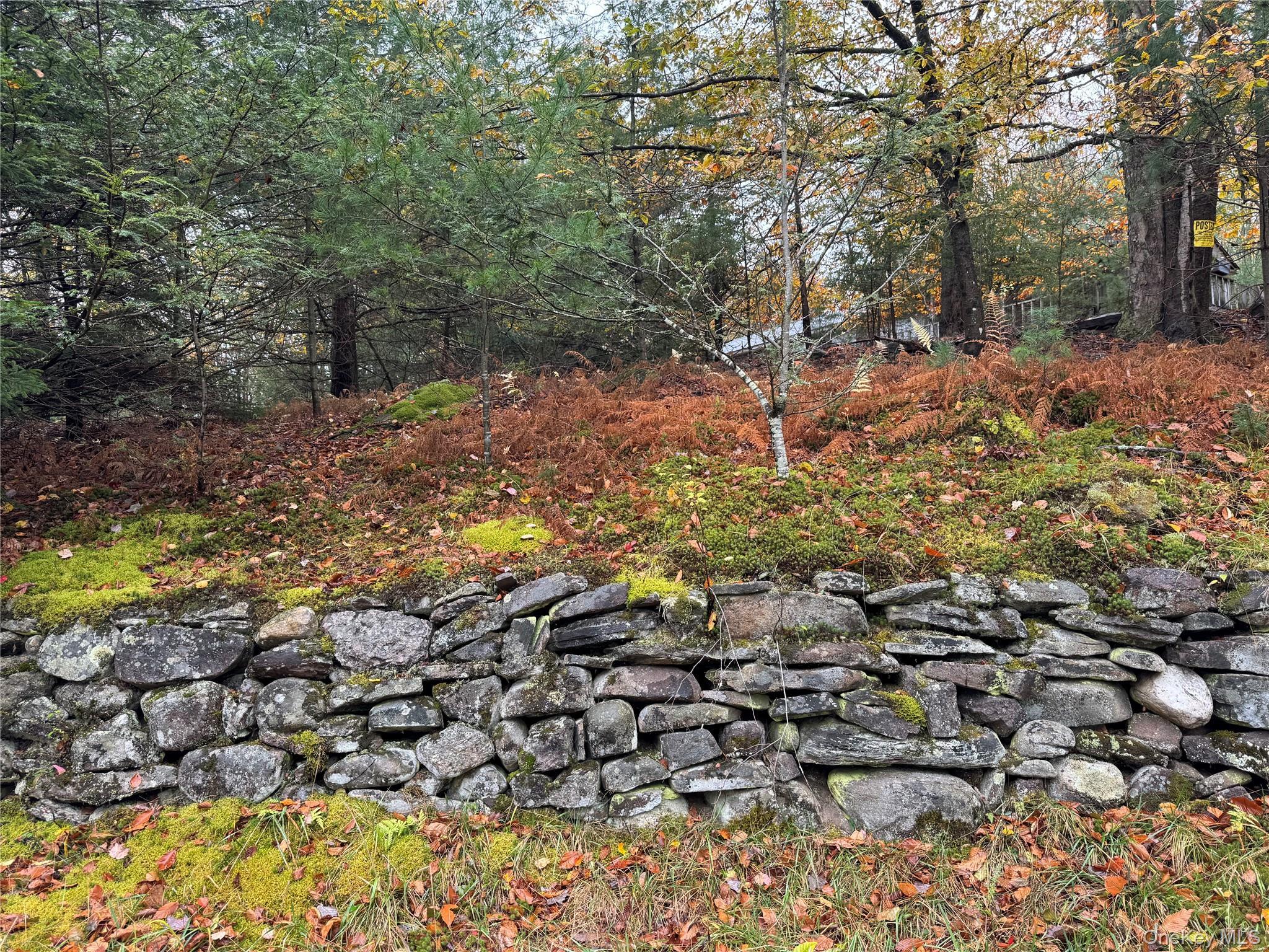 Single Family Southwoods  Sullivan County, NY 12701, MLS-951088-4