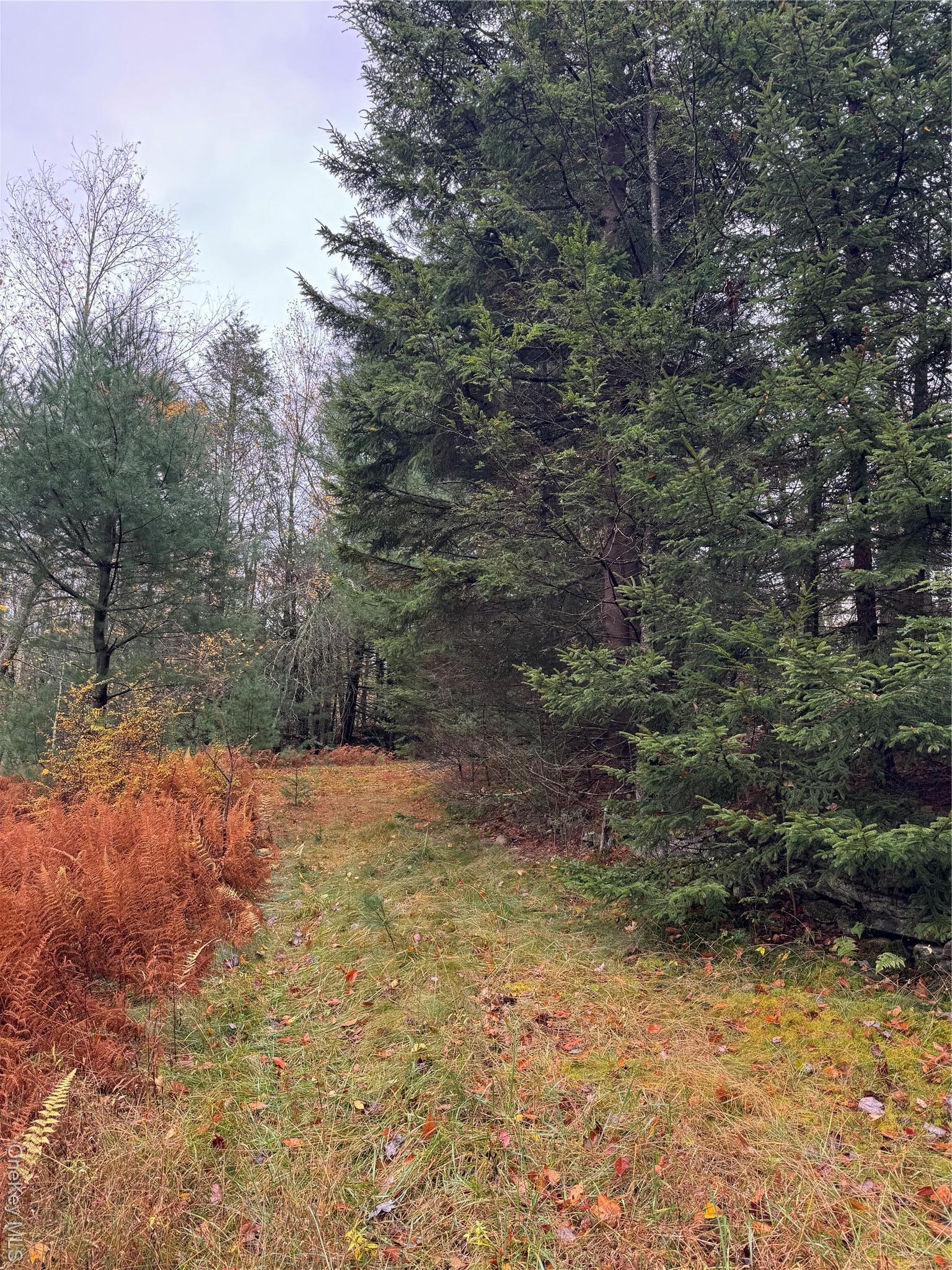 Single Family Southwoods  Sullivan County, NY 12701, MLS-951088-5