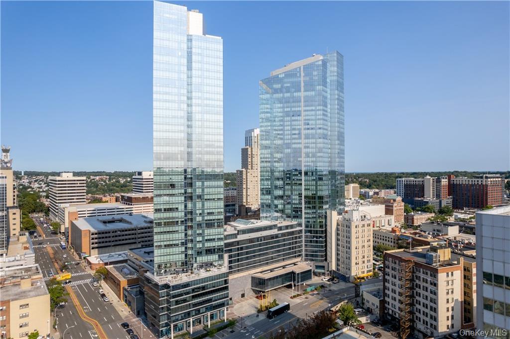 Condo Renaissance Square  Westchester County, NY 10601, MLS-951132-20