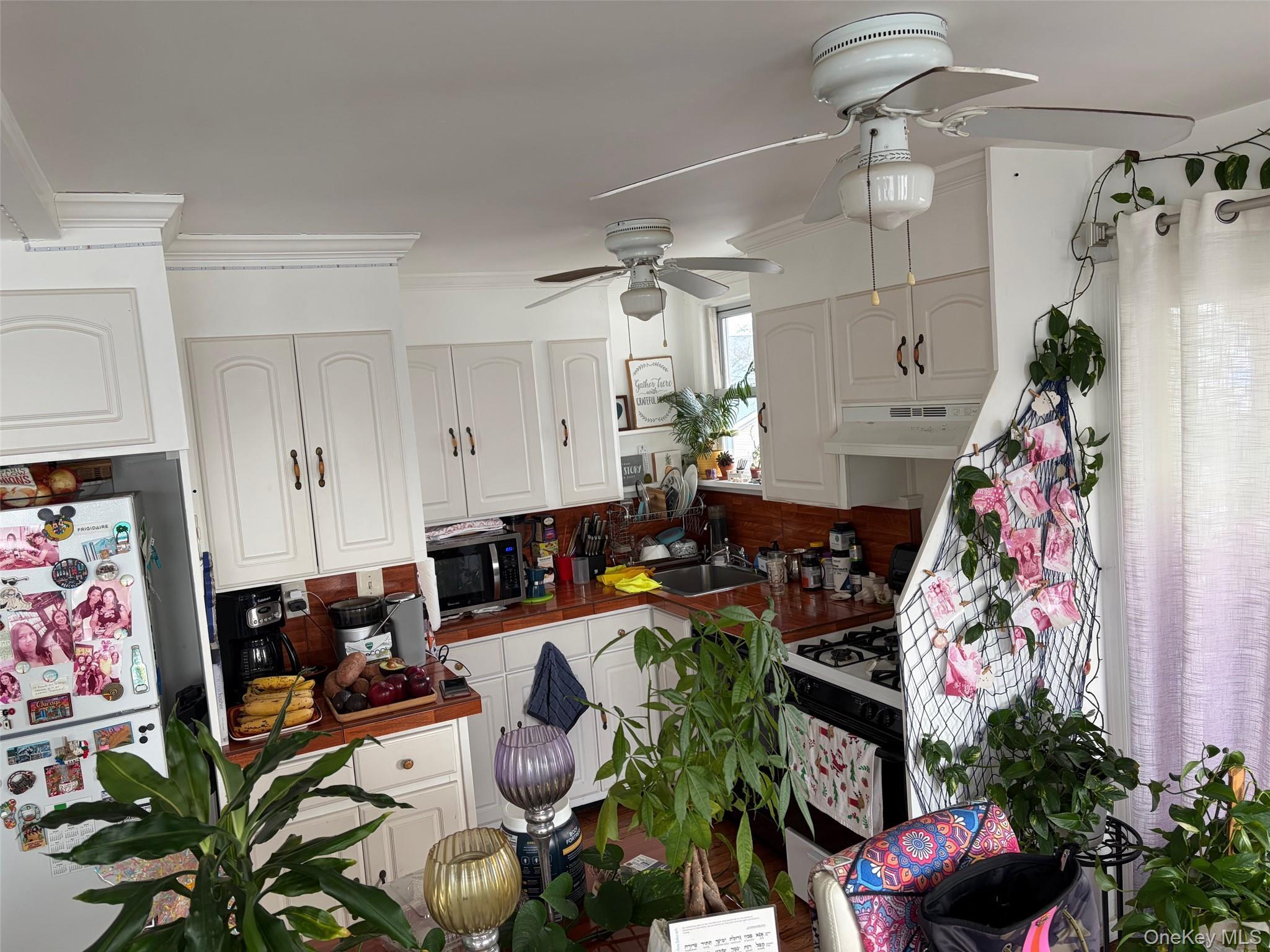 Single Family 164th Queens, NY 11414, MLS-951250-5