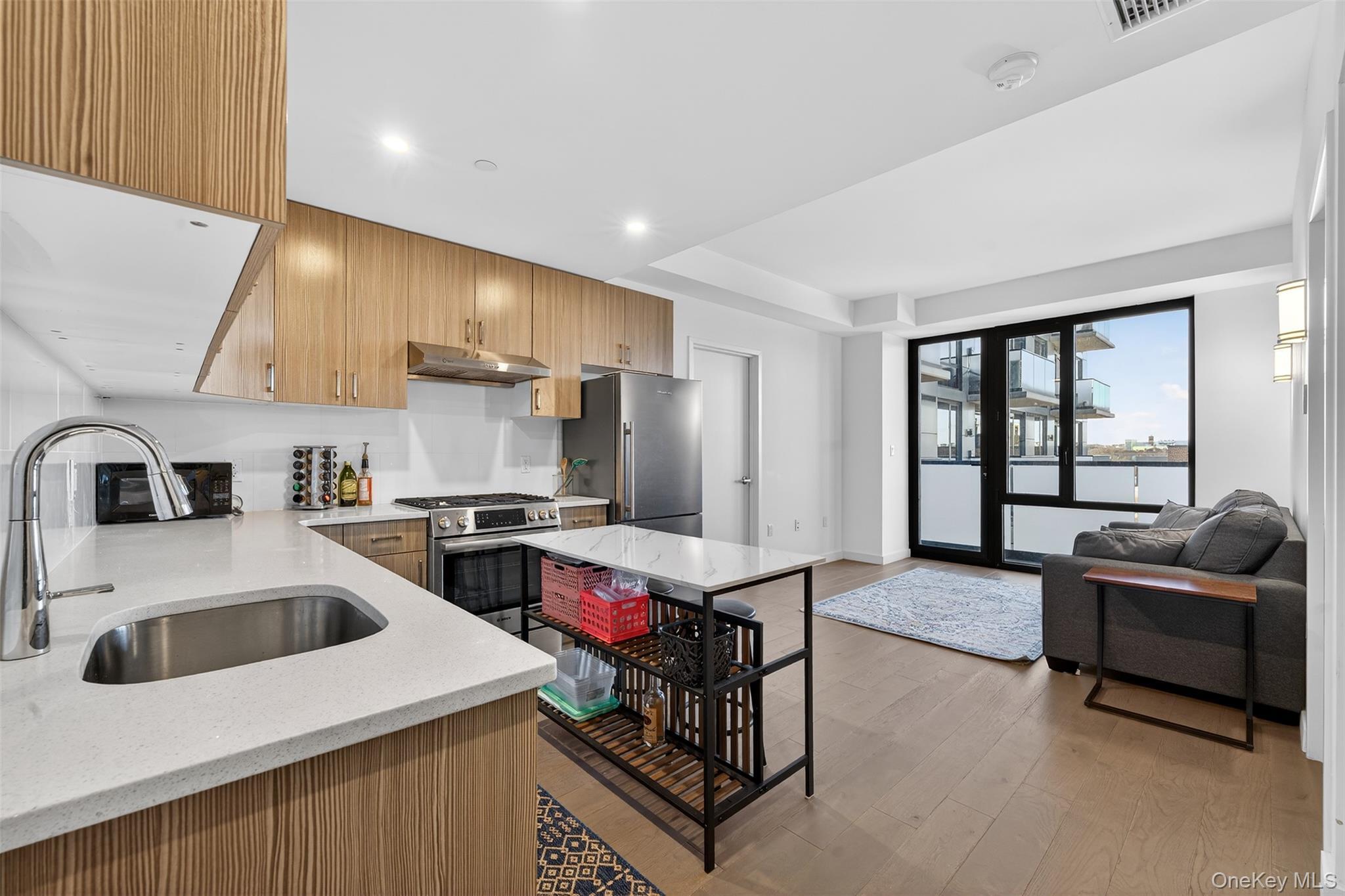 Condo Justice Queens, NY 11373, MLS-951258-4