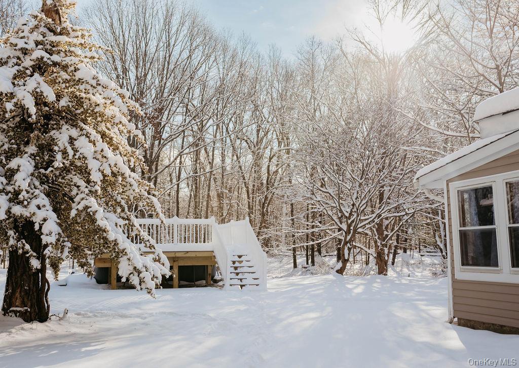 Single Family State Route 208  Ulster County, NY 12589, MLS-951292-37