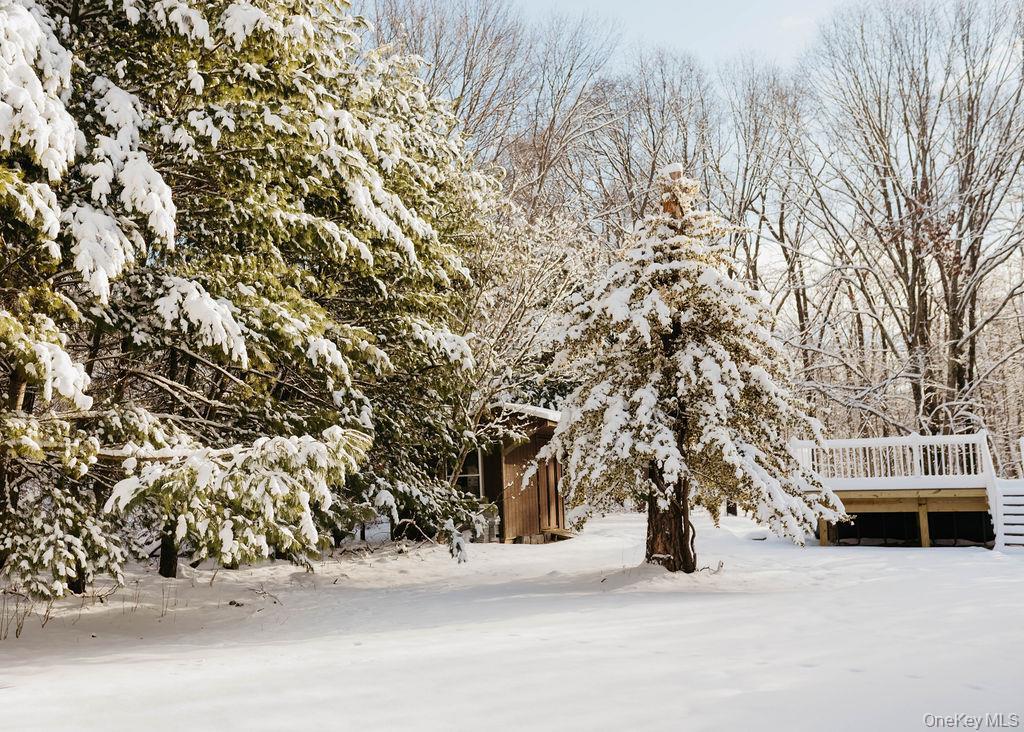 Single Family State Route 208  Ulster County, NY 12589, MLS-951292-38