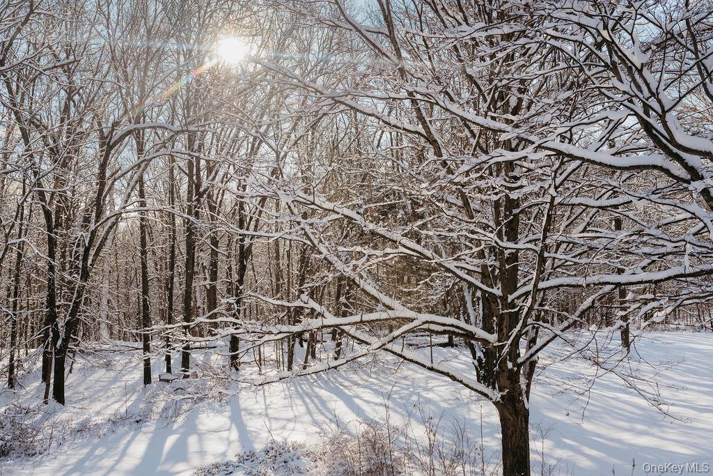 Single Family State Route 208  Ulster County, NY 12589, MLS-951292-41