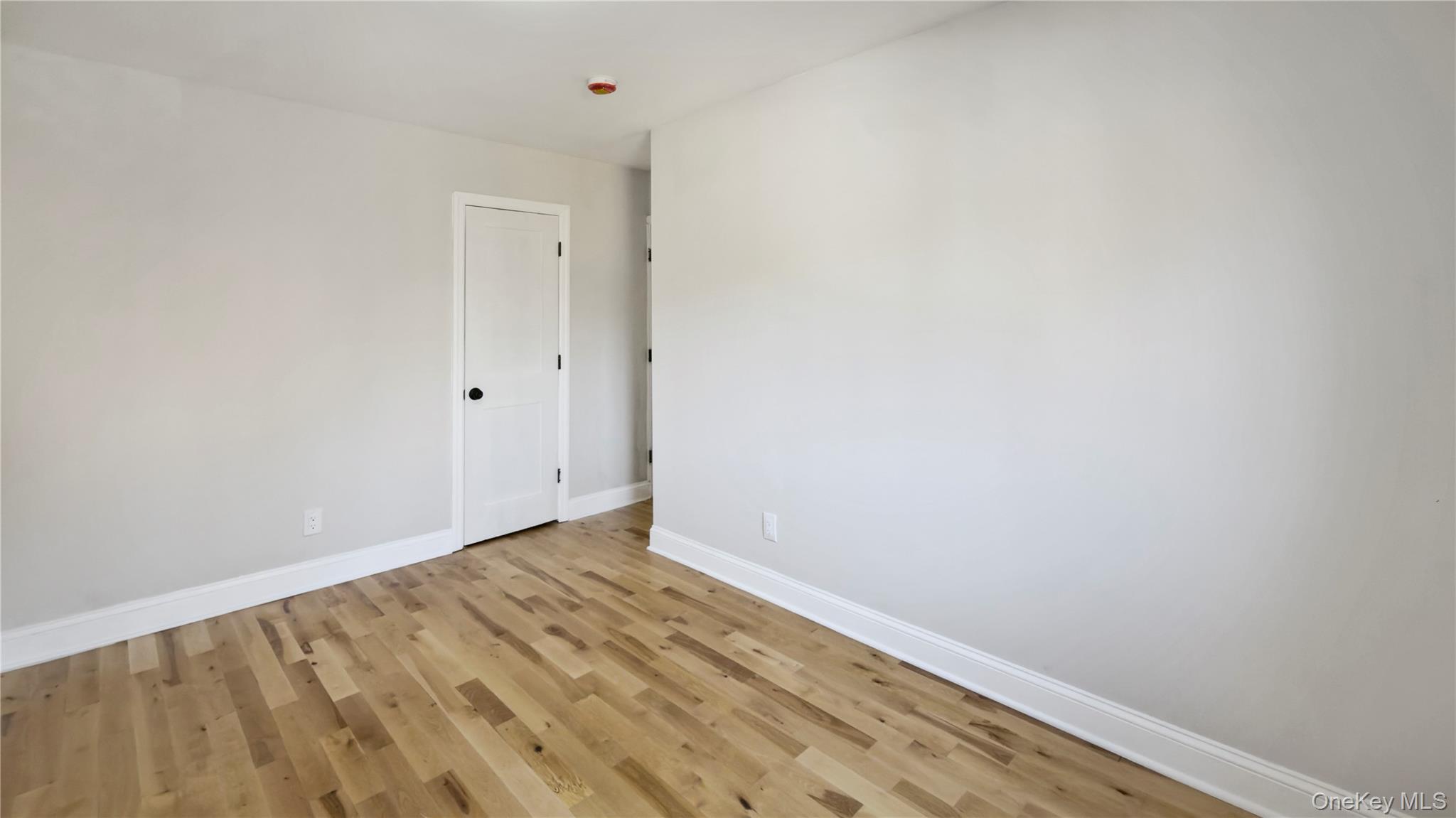 Single Family Wortman Brooklyn, NY 11207, MLS-951317-30