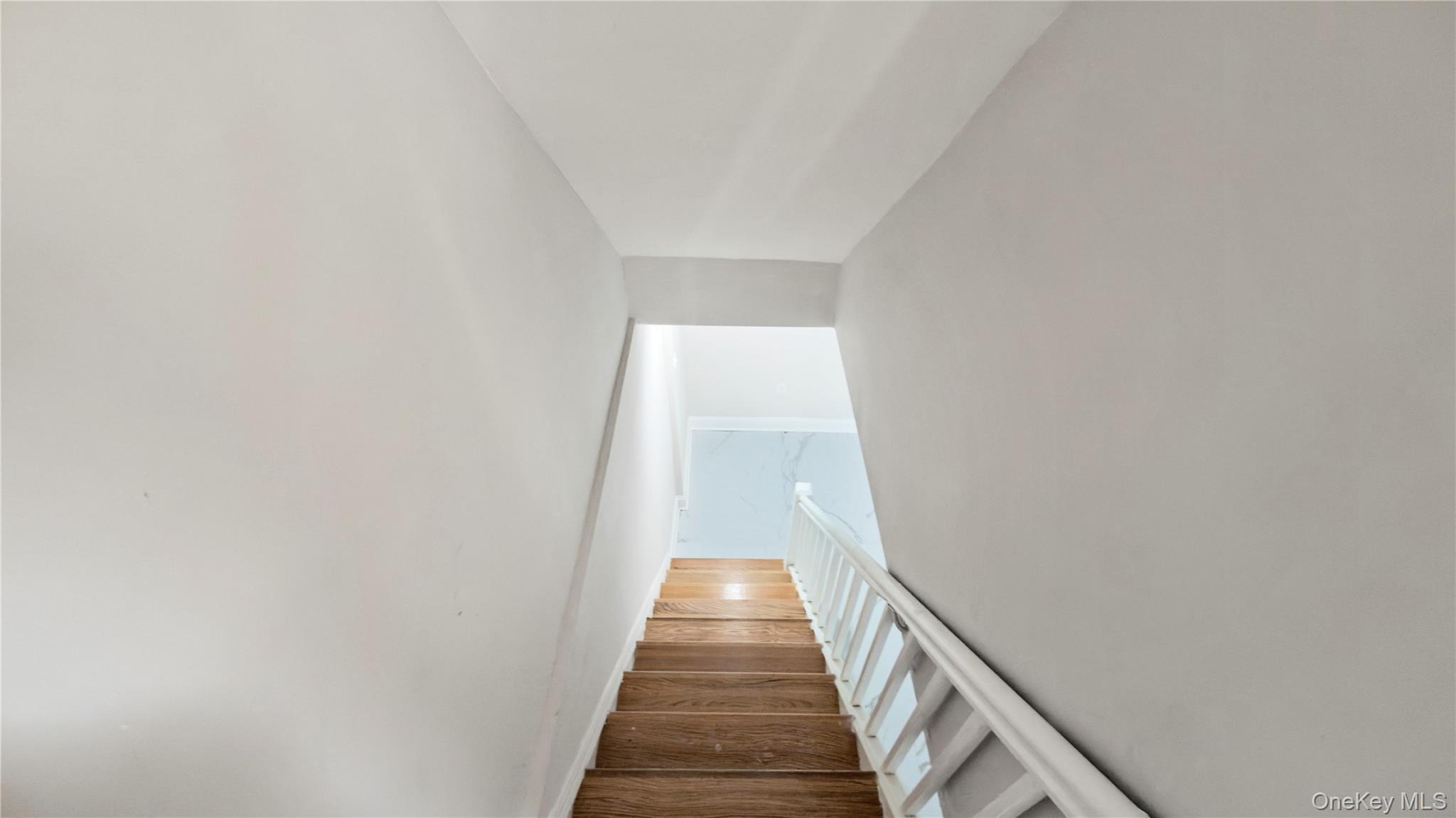 Single Family Wortman Brooklyn, NY 11207, MLS-951317-36