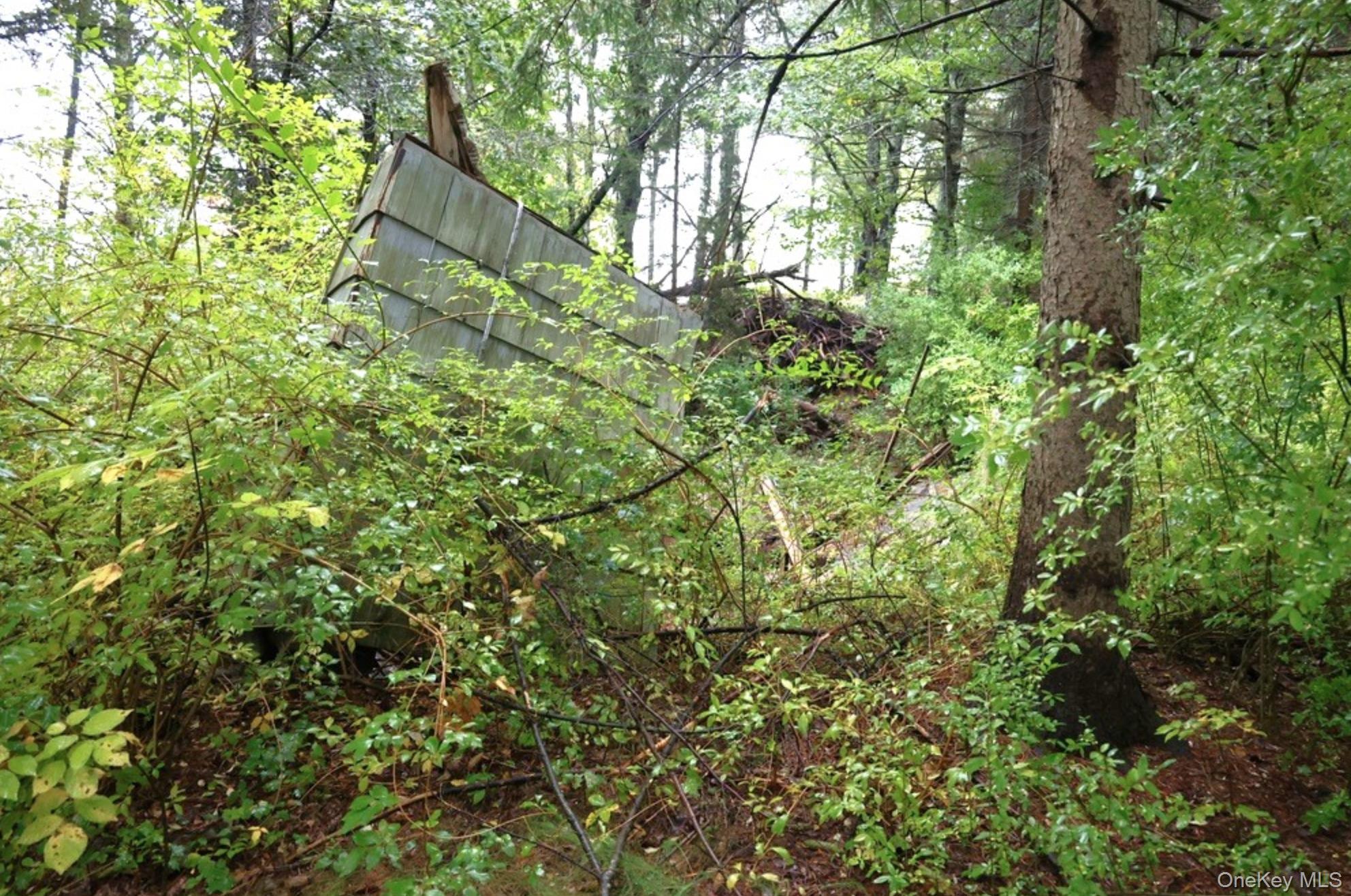 Single Family Route 81  Greene County, NY 12083, MLS-951372-3