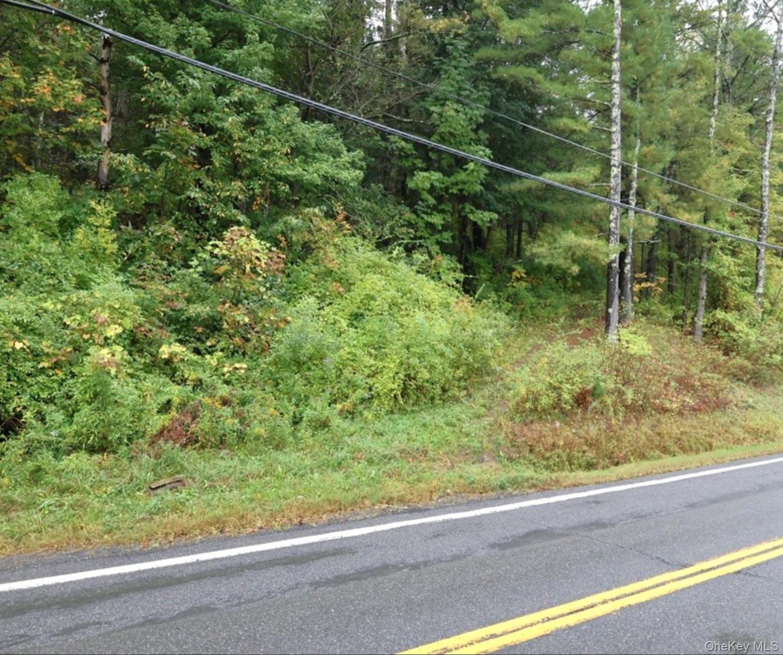 Single Family Route 81  Greene County, NY 12083, MLS-951372-4