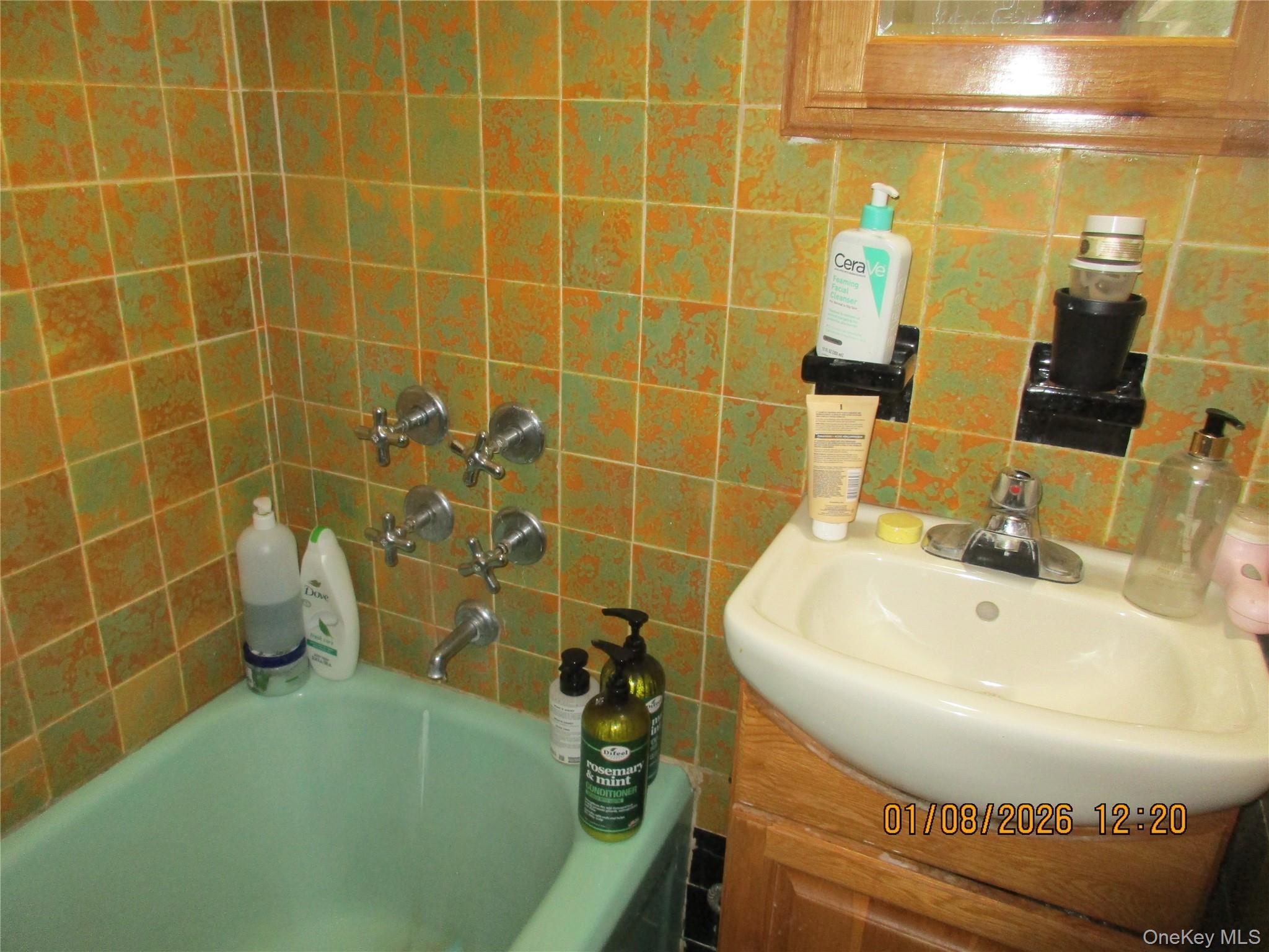 Single Family 79  Queens, NY 11379, MLS-951443-12