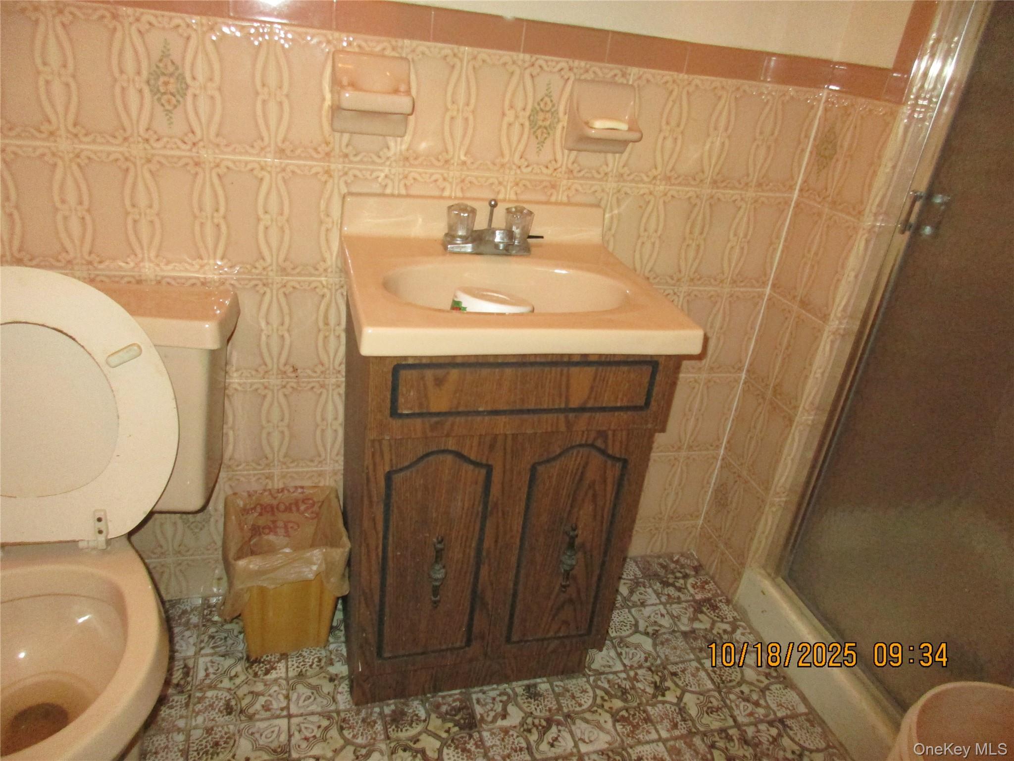 Single Family 79  Queens, NY 11379, MLS-951443-7