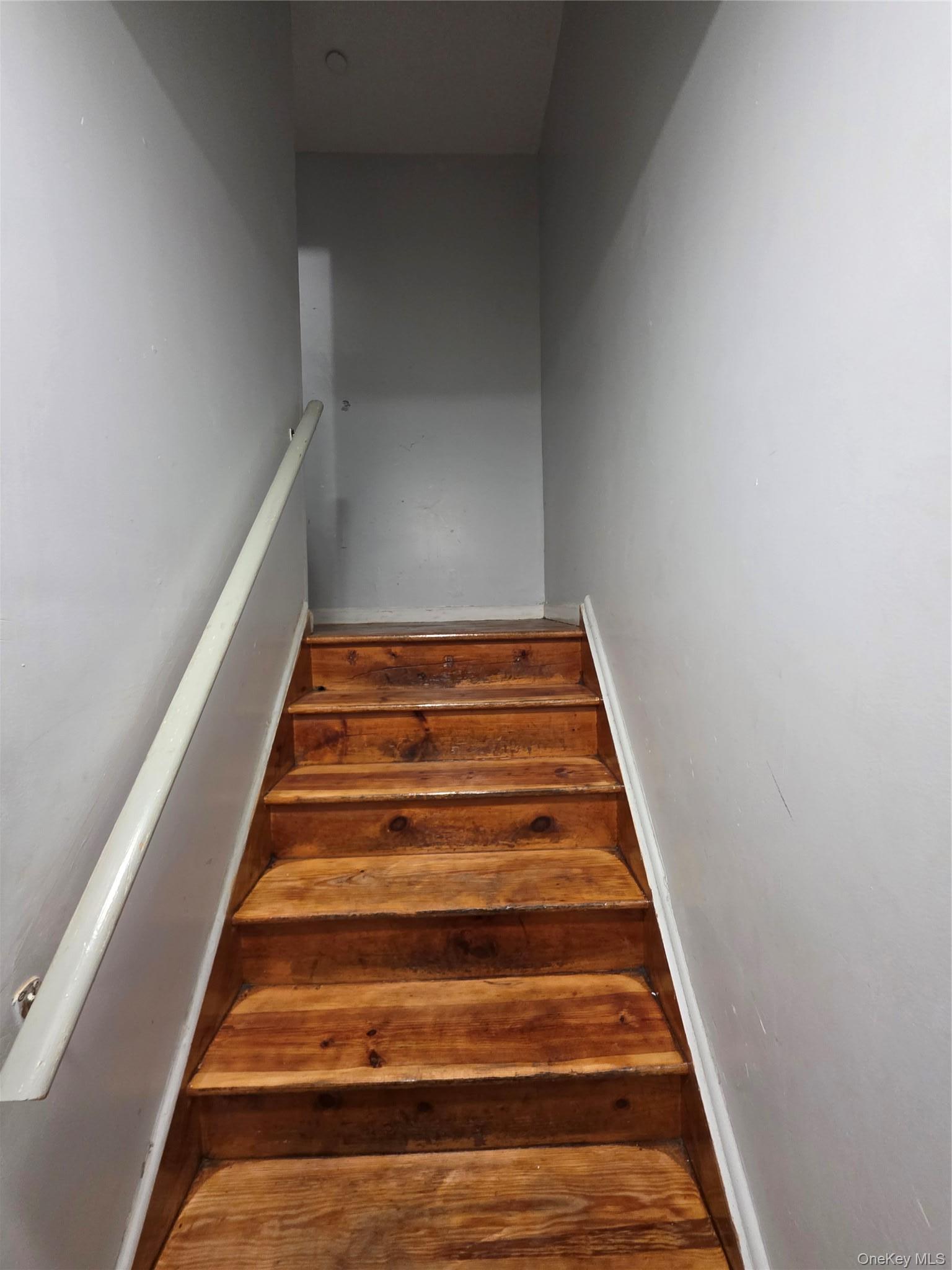 Single Family Ralph Avenue Brooklyn, NY 11233, MLS-951659-11