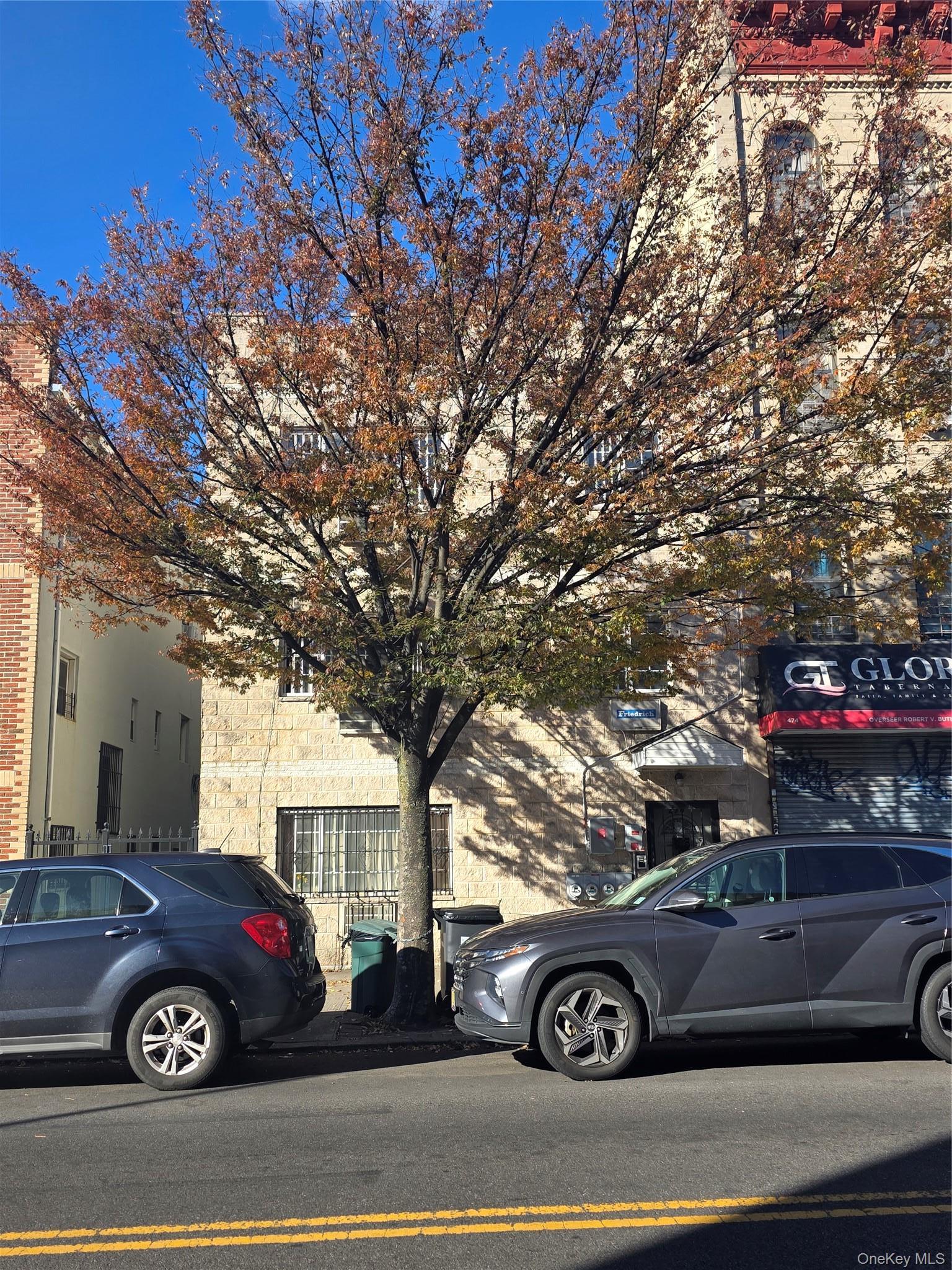 Single Family Ralph Avenue Brooklyn, NY 11233, MLS-951659-4