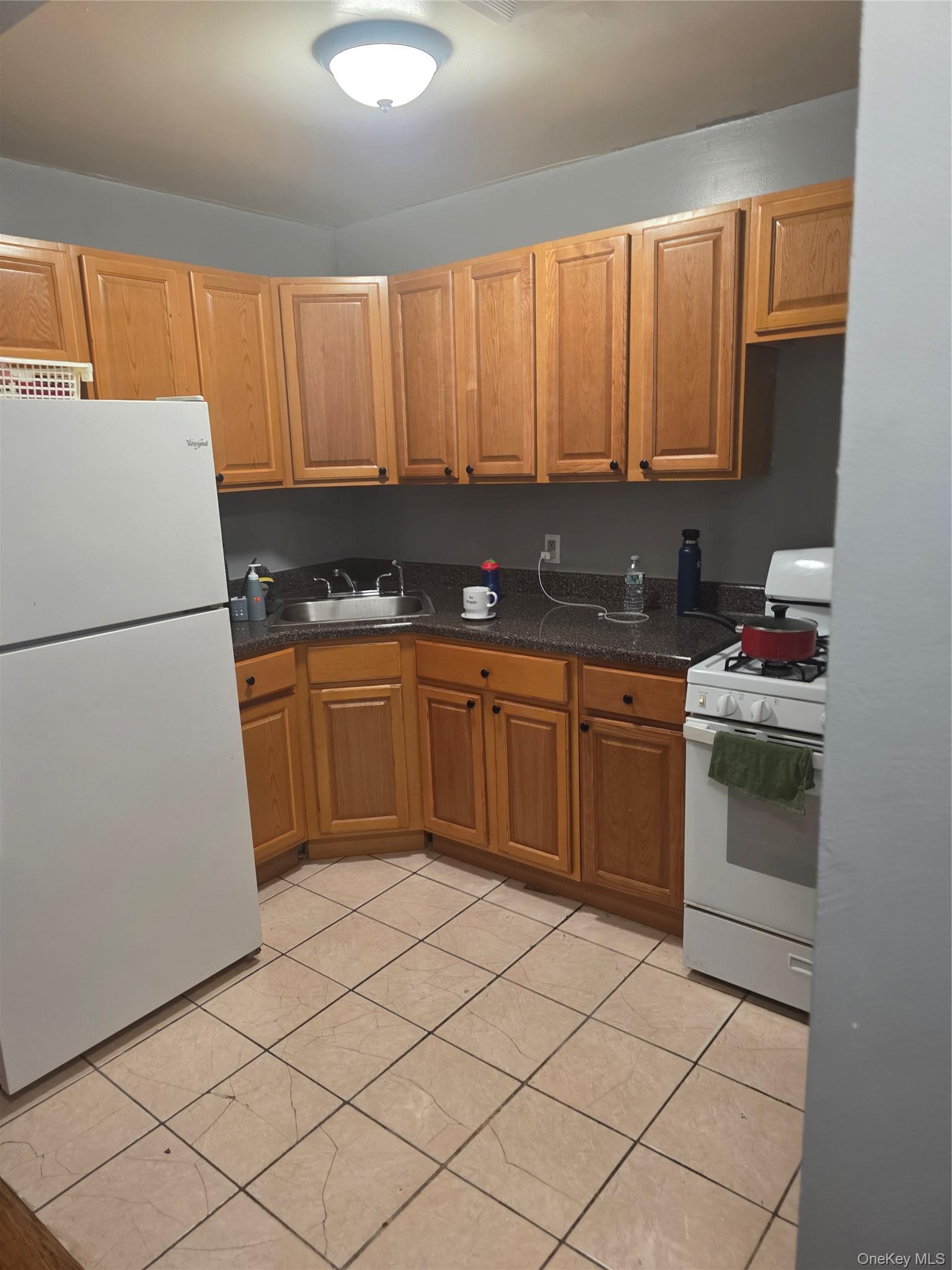 Single Family Ralph Avenue Brooklyn, NY 11233, MLS-951659-7