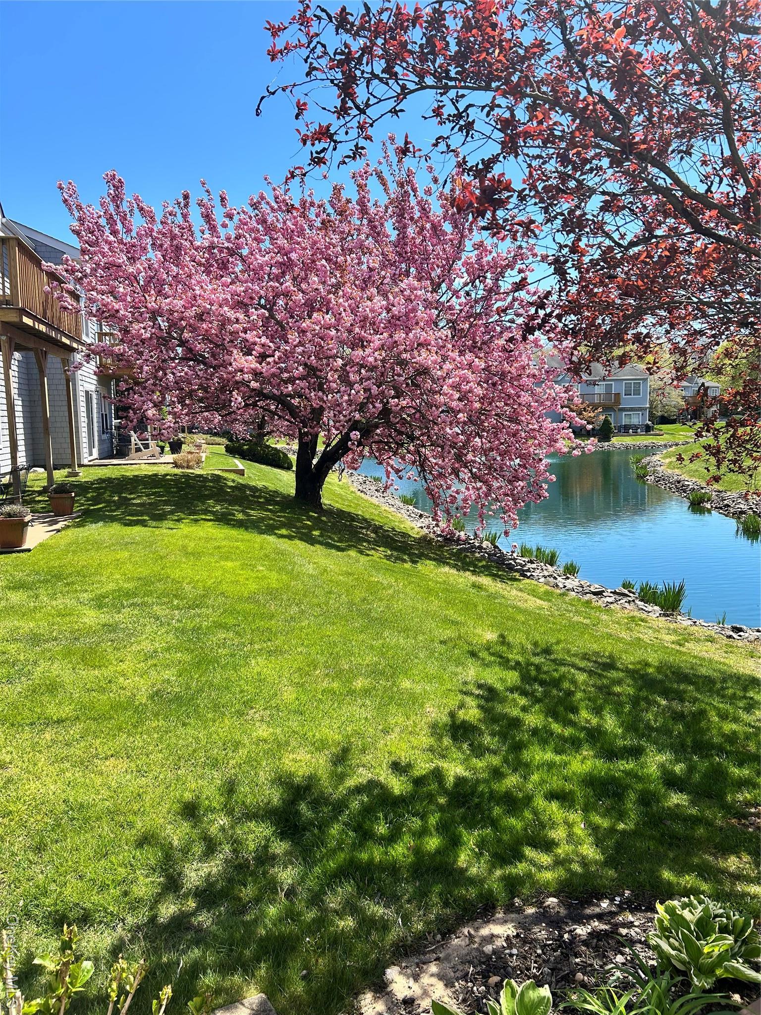 Condo Lakebridge  Suffolk County, NY 11754, MLS-951819-29