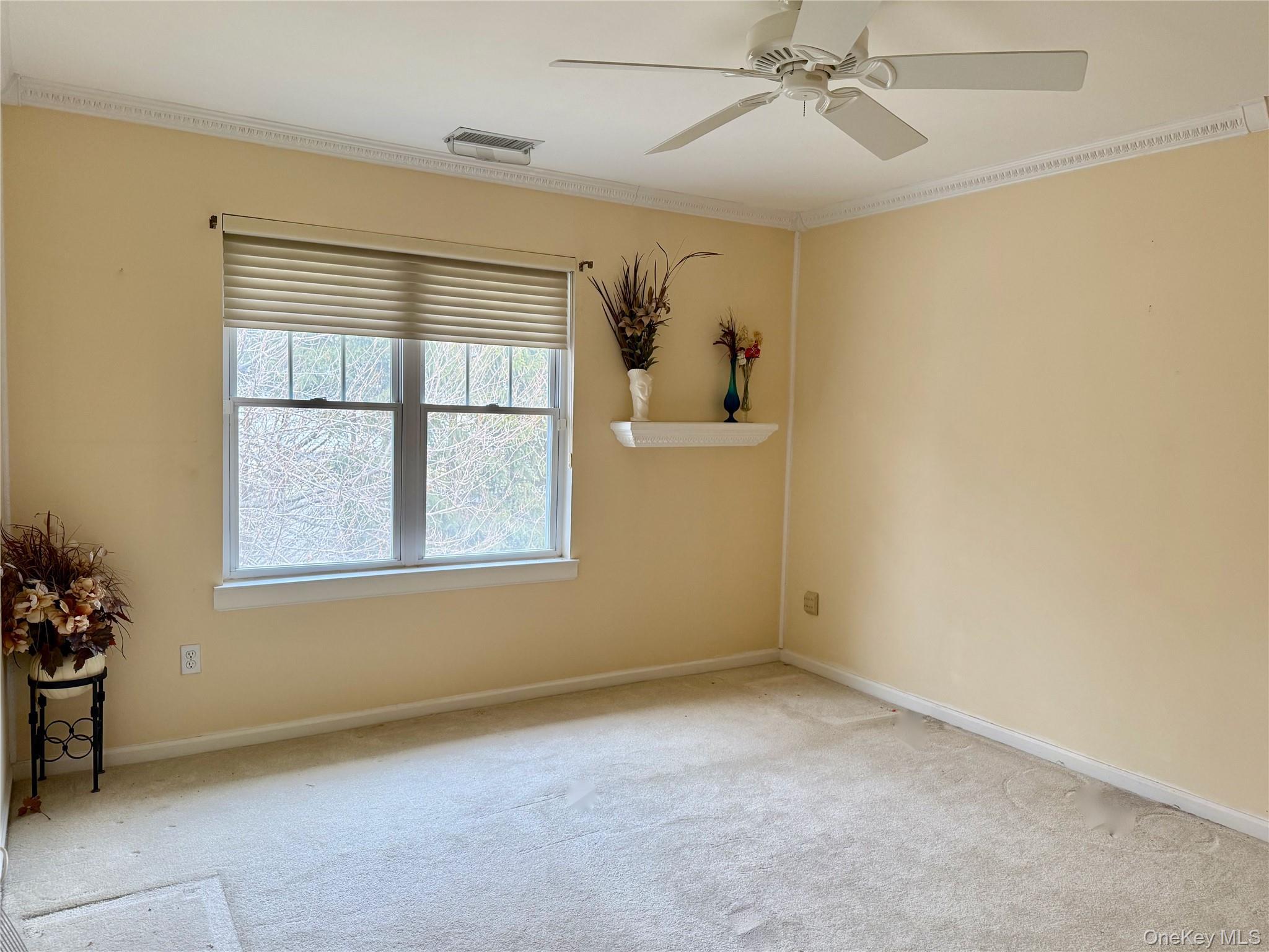 Condo Morley  Suffolk County, NY 11747, MLS-951893-7