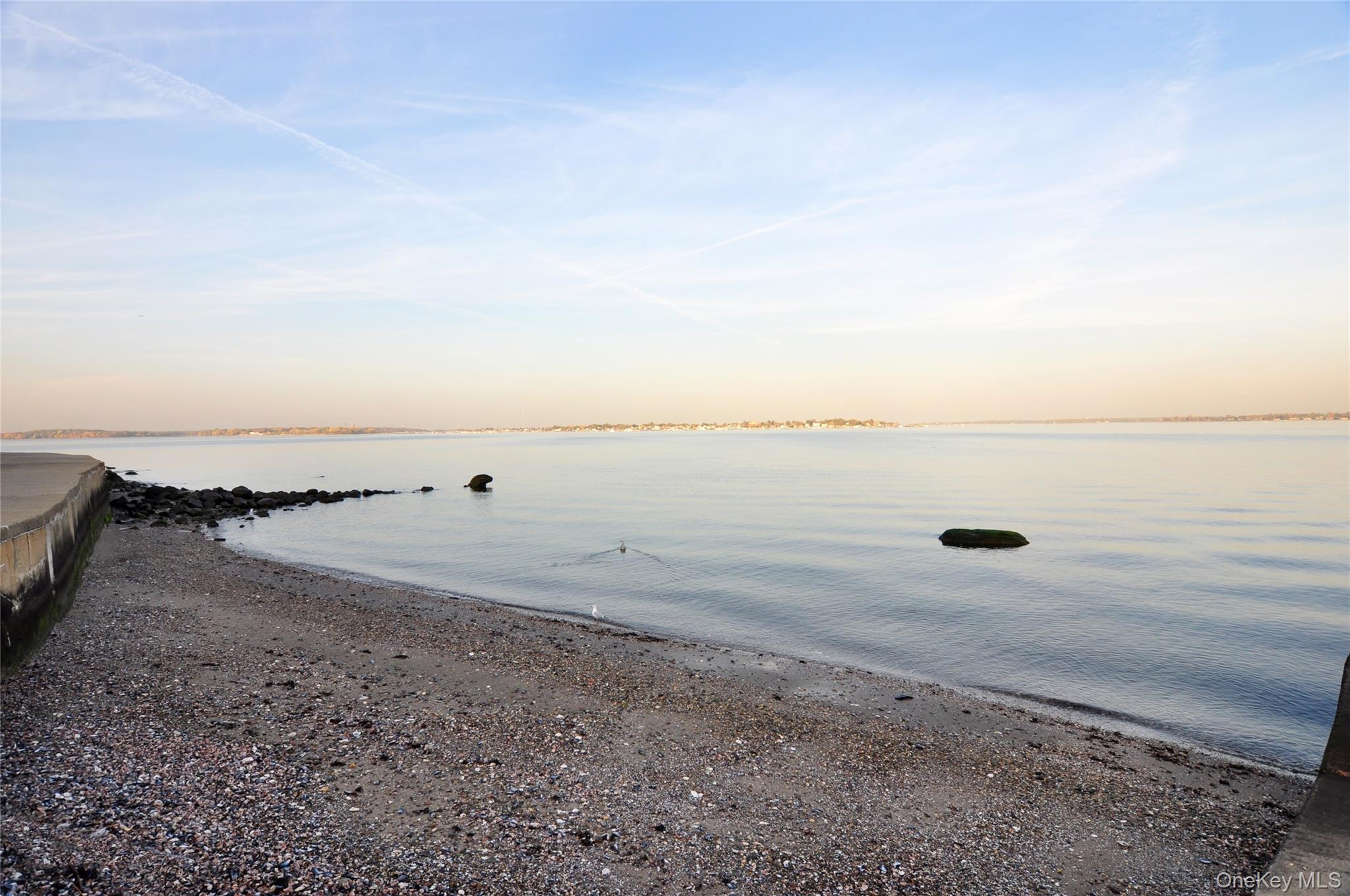 Coop Edgewater  Bronx, NY 10465, MLS-951922-22