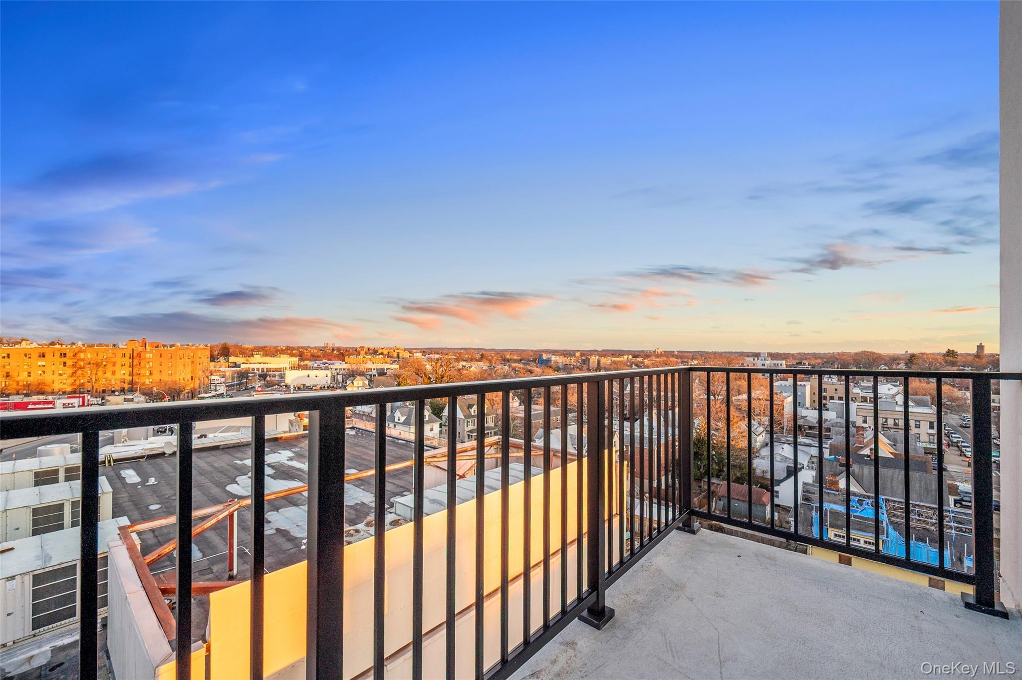 Condo Northern Blvd  Queens, NY 11354, MLS-951940-12