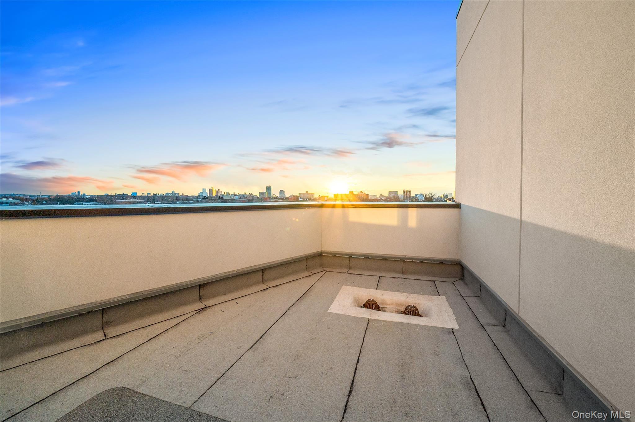 Condo Northern Blvd  Queens, NY 11354, MLS-951940-13